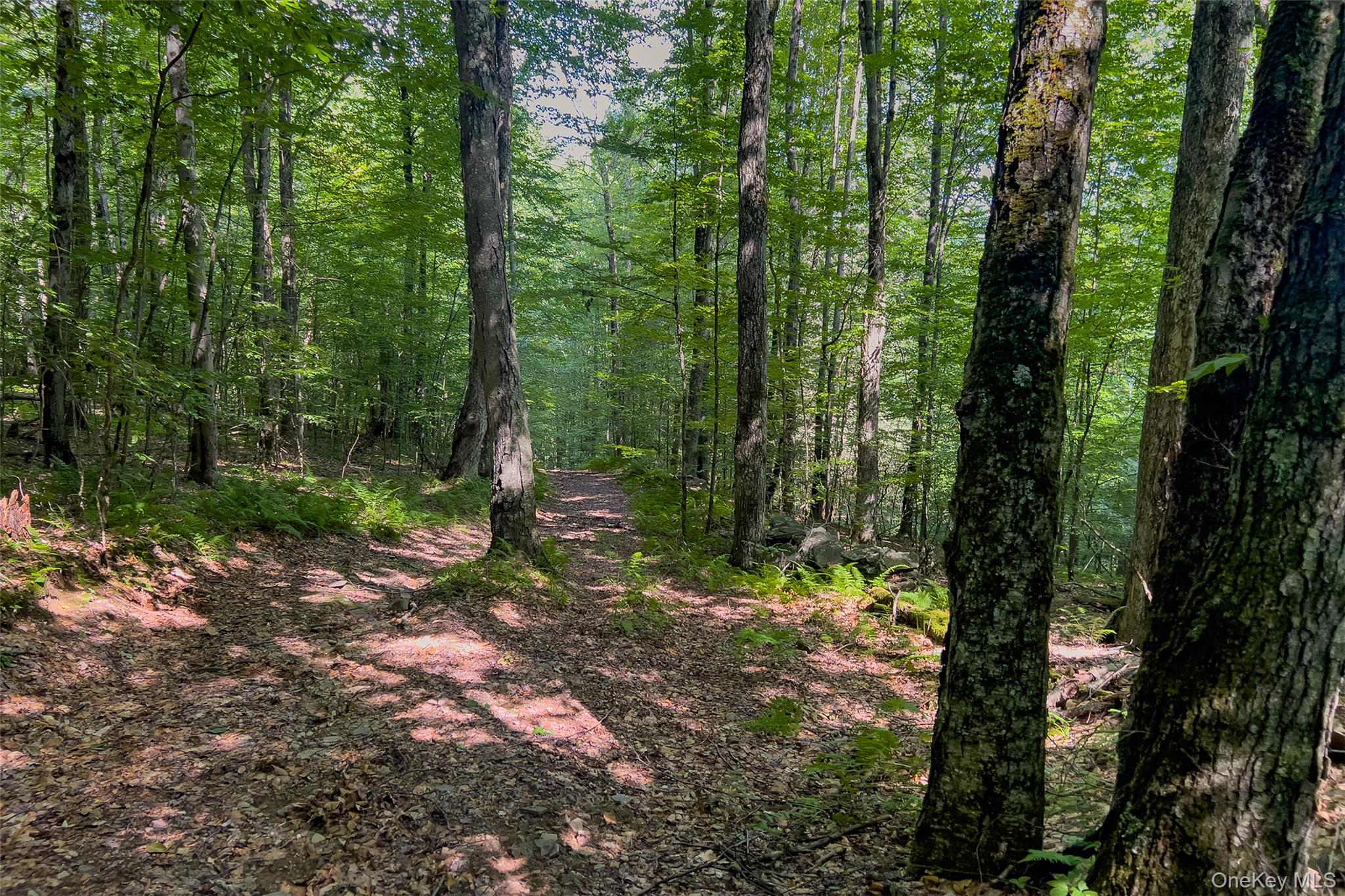 Lot #11 Franklin Depot Road – For Sale photo 47