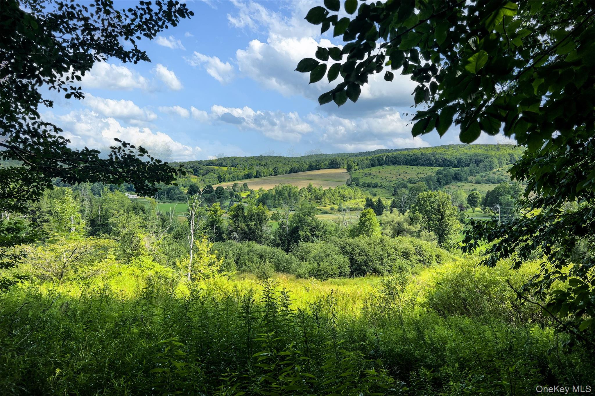 Lot #11 Franklin Depot Road – For Sale photo 50