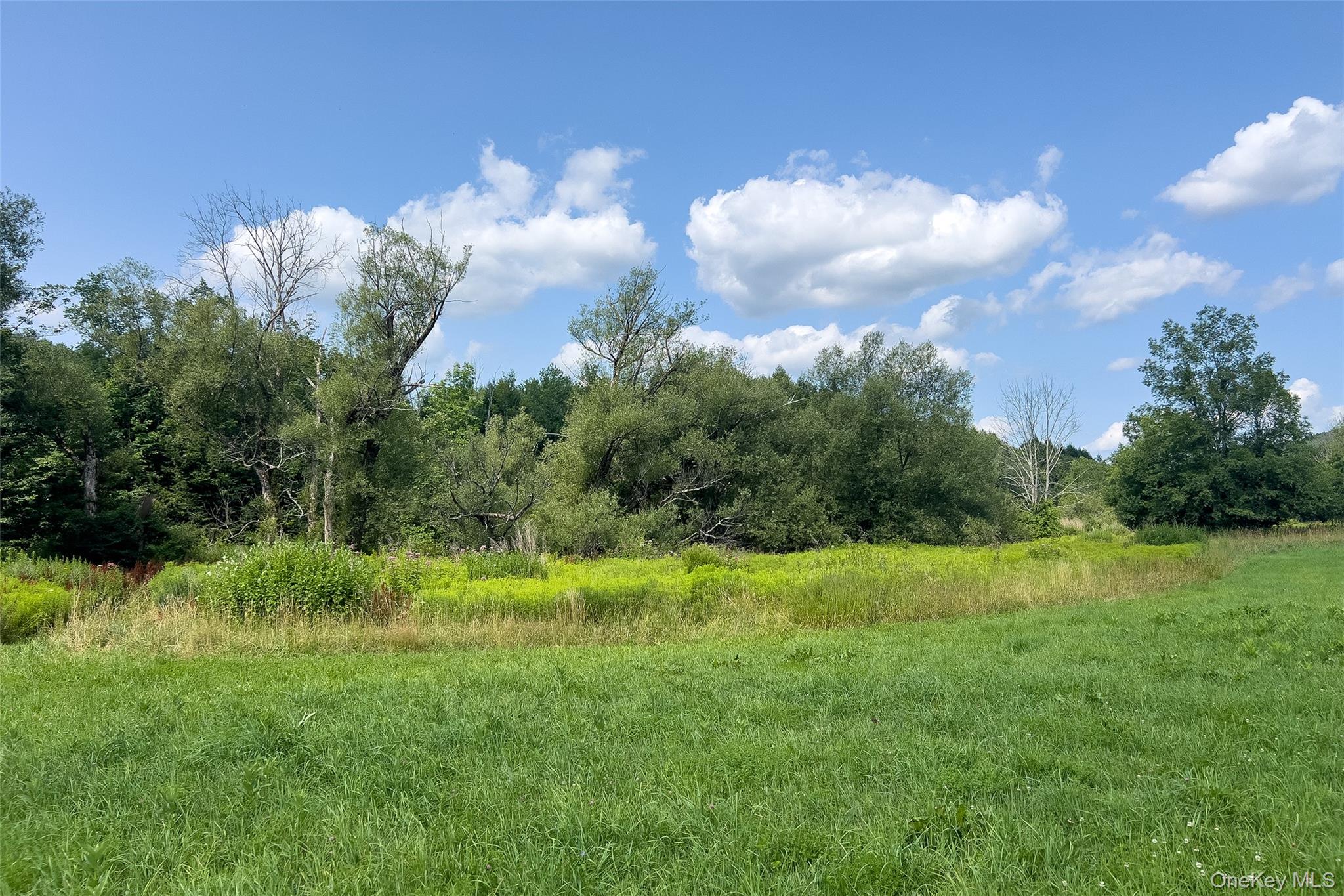 Lot #11 Franklin Depot Road – For Sale photo 11