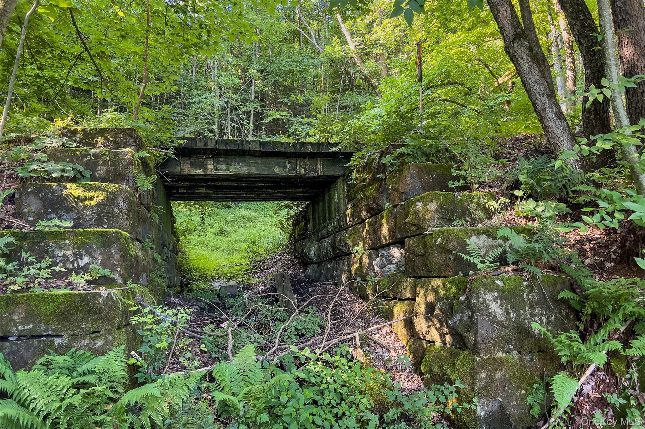 Lot #11 Franklin Depot Road – For Sale photo 29