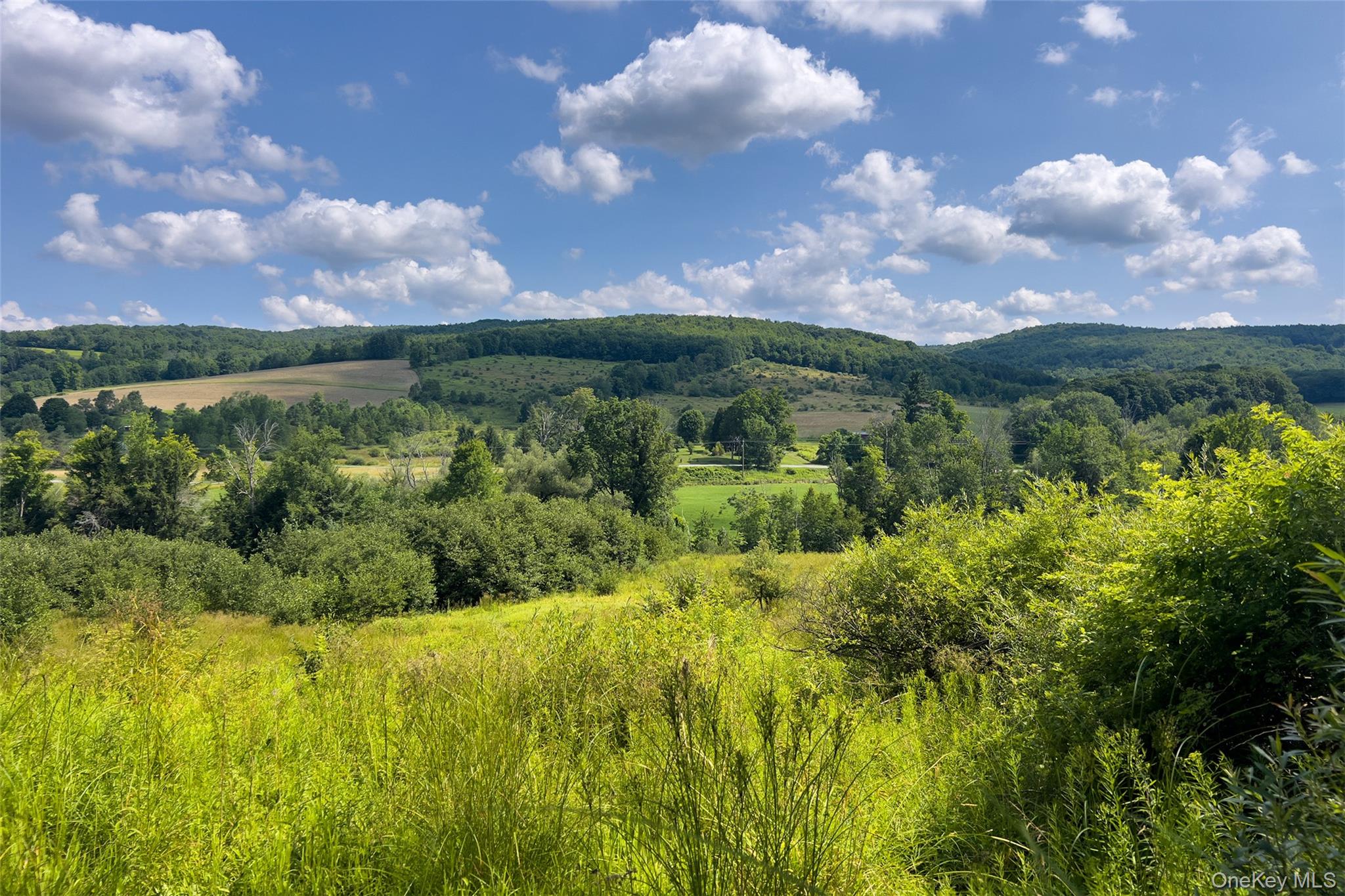 Lot #11 Franklin Depot Road – For Sale photo 3
