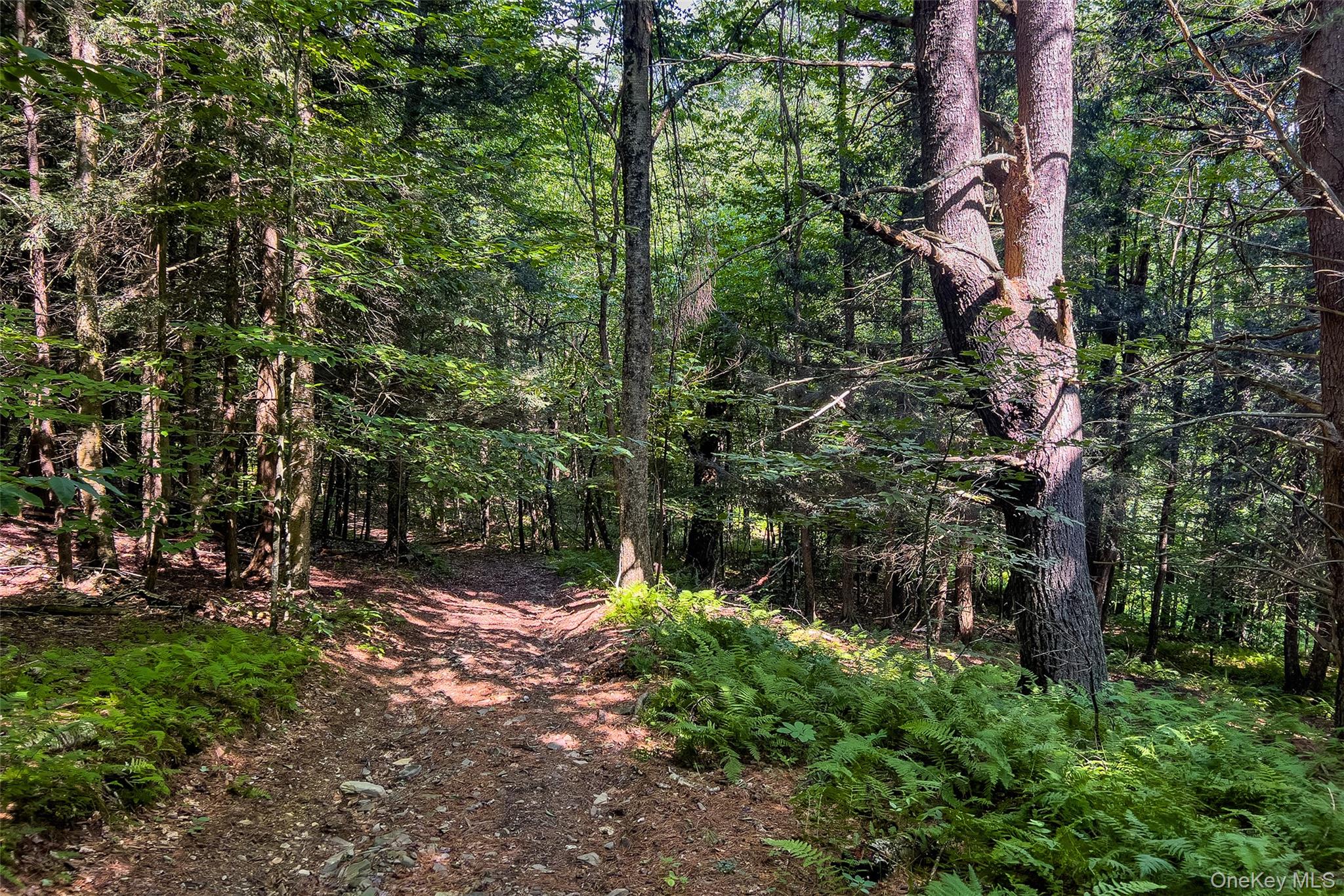 Lot #11 Franklin Depot Road – For Sale photo 48
