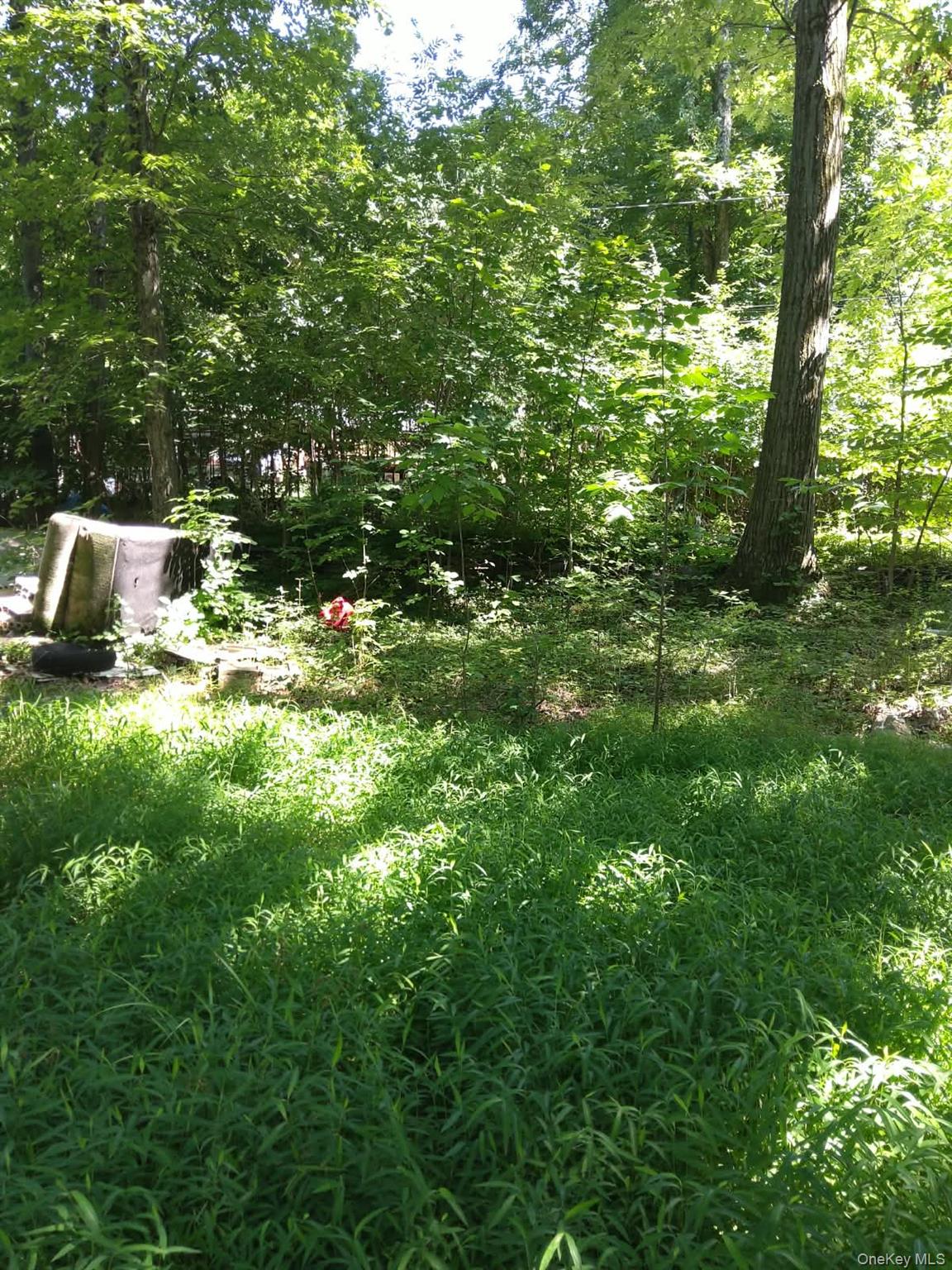 90 Arcardian Trail – For Sale photo 13