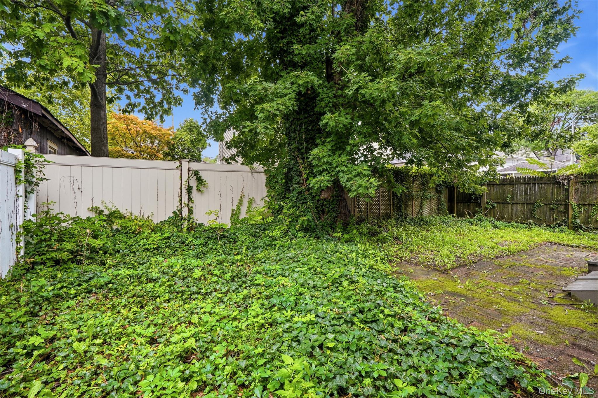 215 Demorest Avenue – For Sale photo 40