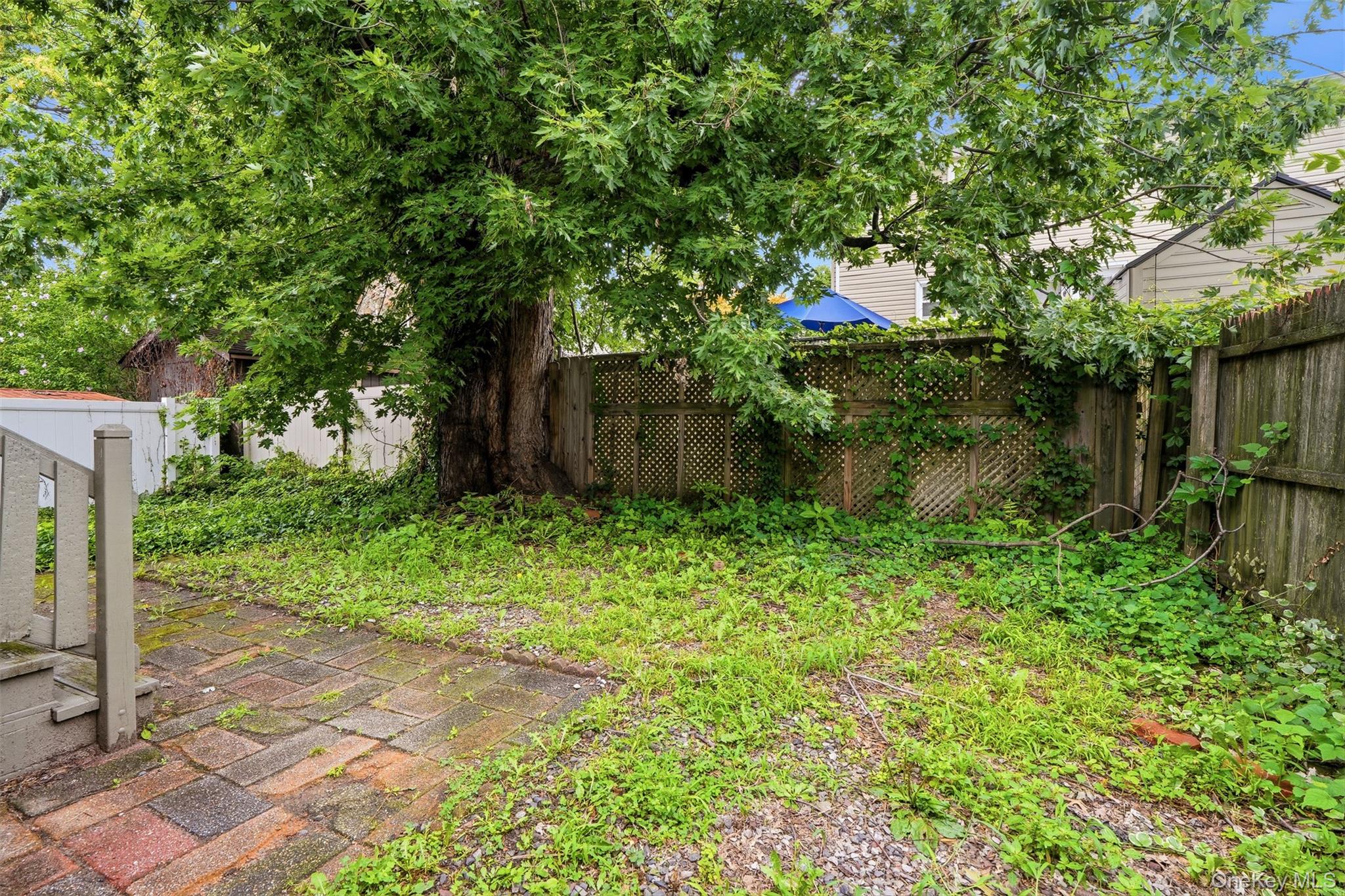215 Demorest Avenue – For Sale photo 41