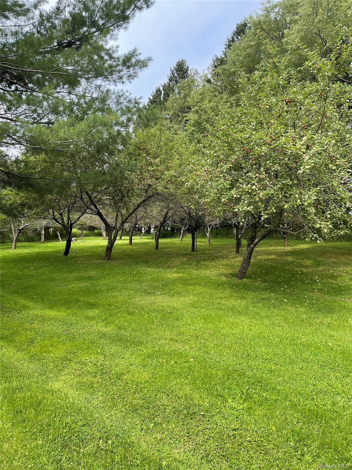 2614 Turnpike Road – For Sale photo 40