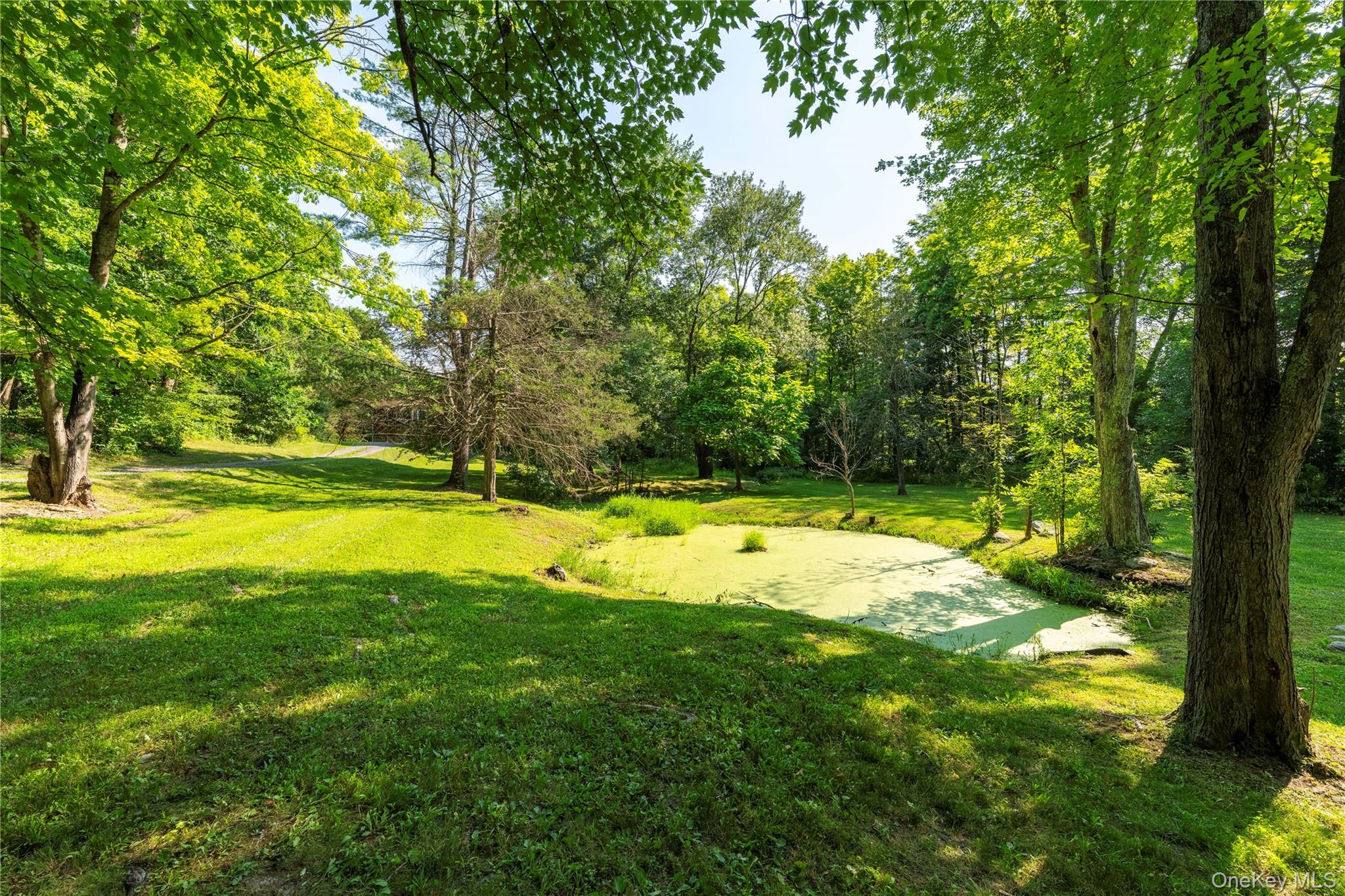 71 W Pine Road – For Sale photo 13