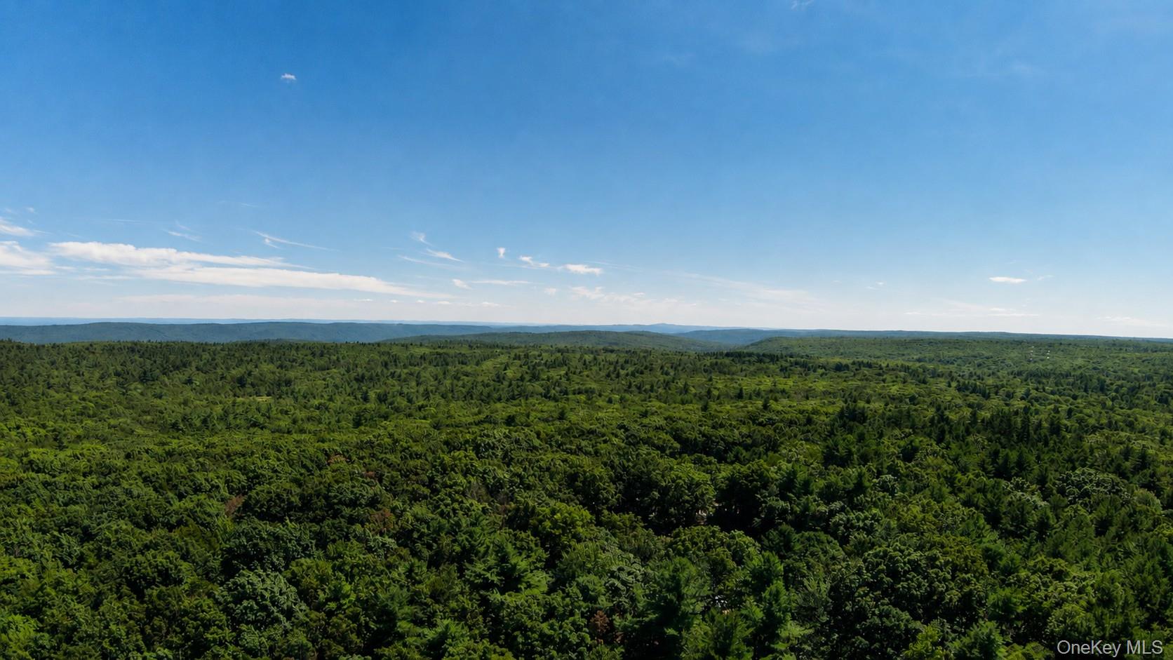 259 Yankee Lake Road – For Sale photo 36