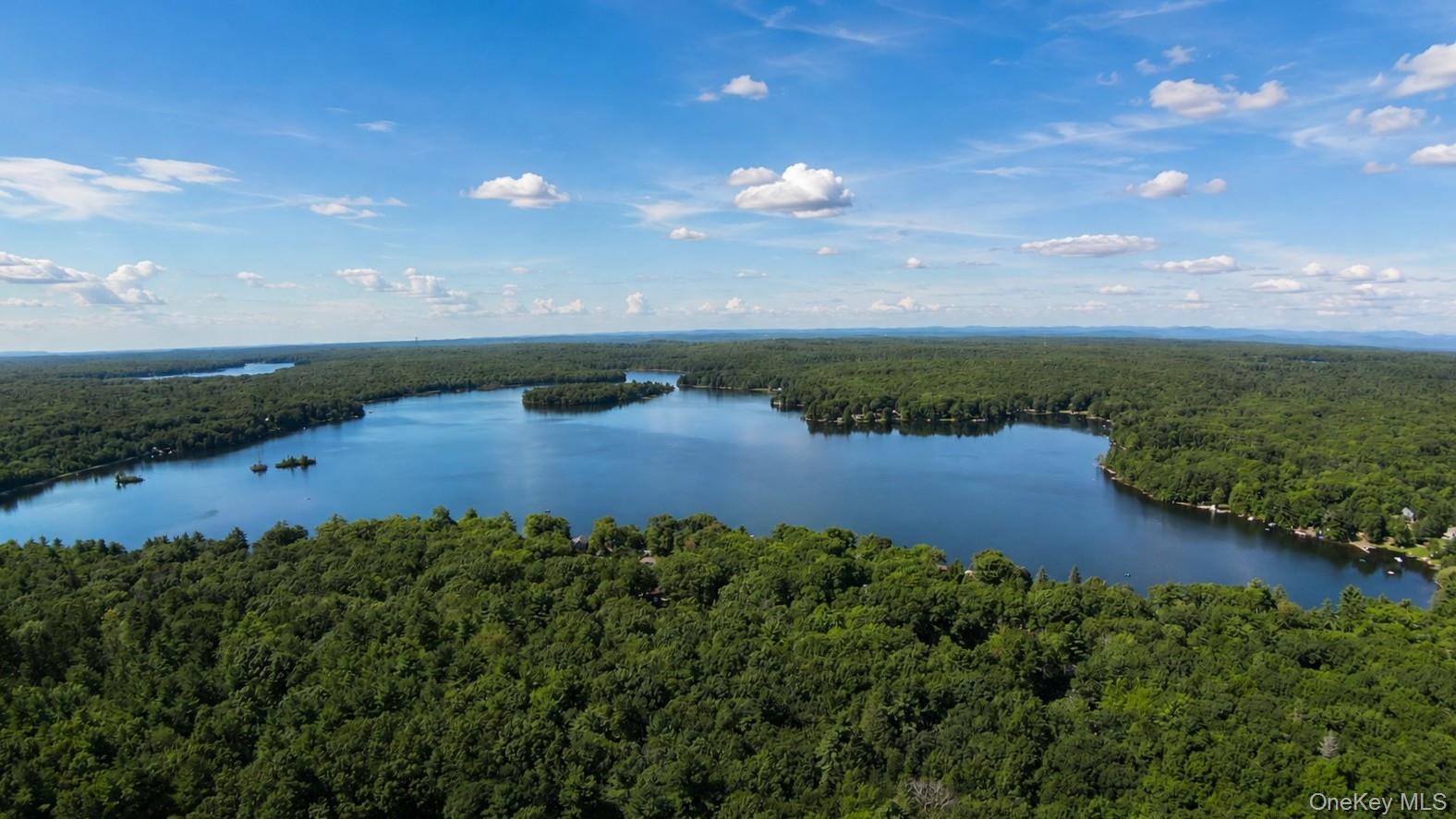259 Yankee Lake Road – For Sale photo 42