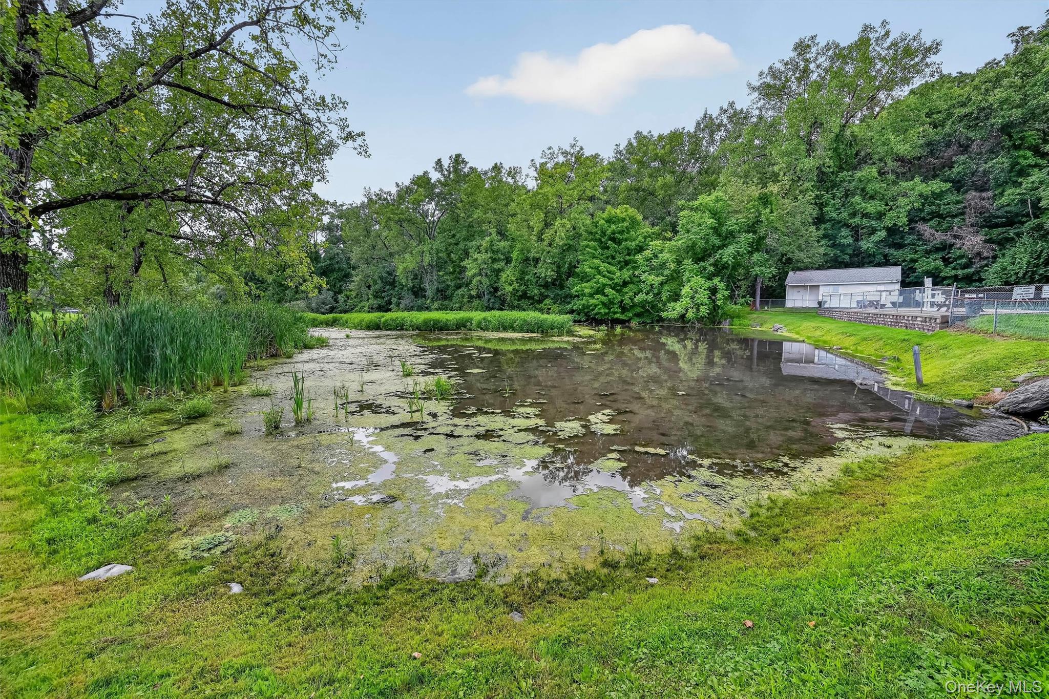 1006 Parr Meadow Drive, Unit 10E photo 24