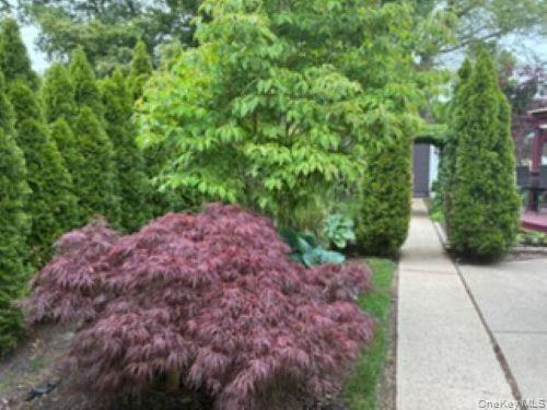 1661 Old Country Road, Unit 383 photo 8