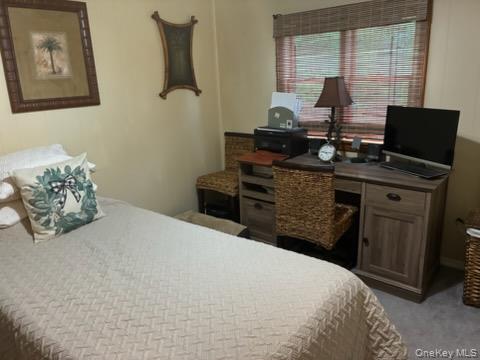 1661 Old Country Road, Unit 383 photo 36