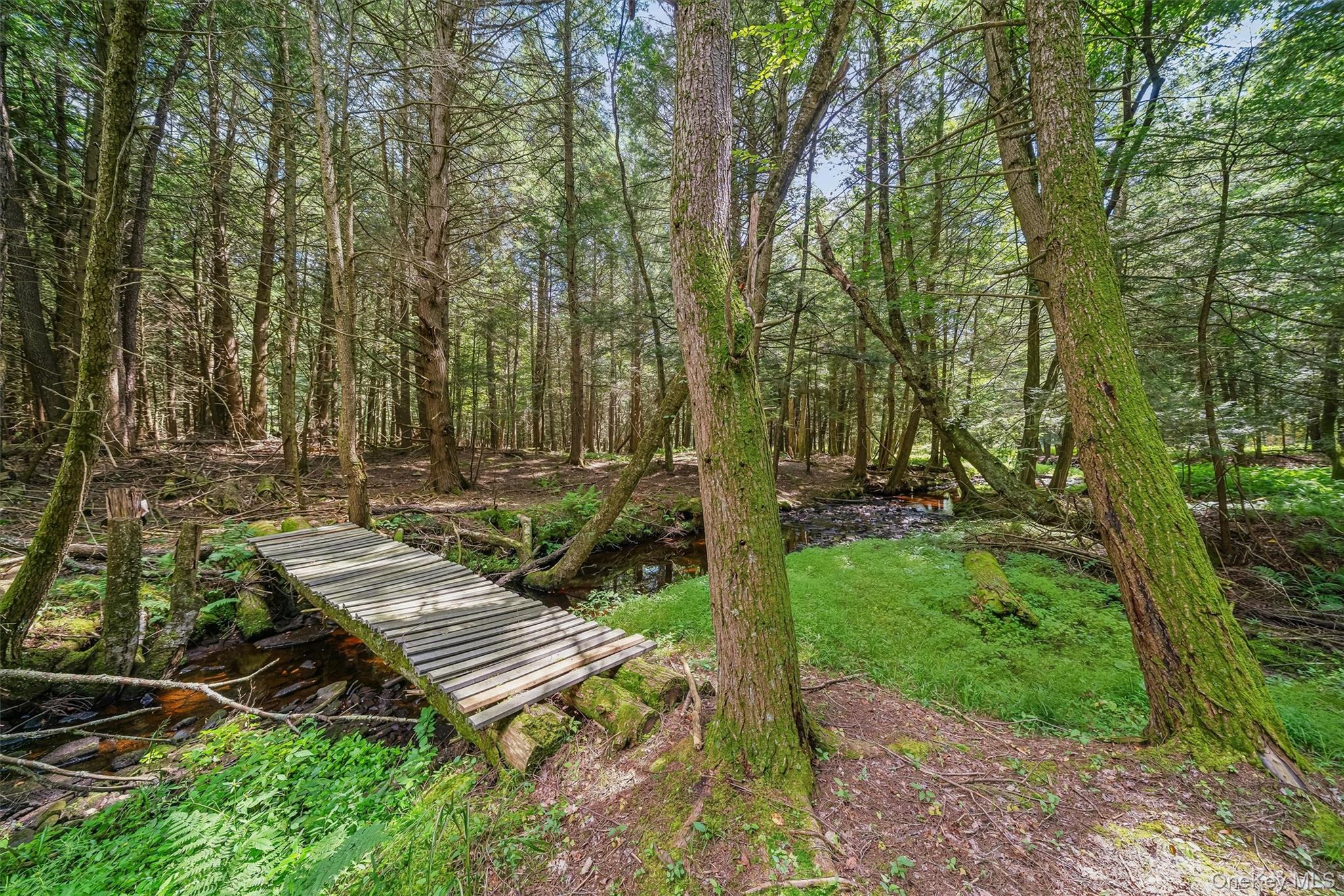 62 Laird Road – For Sale photo 43