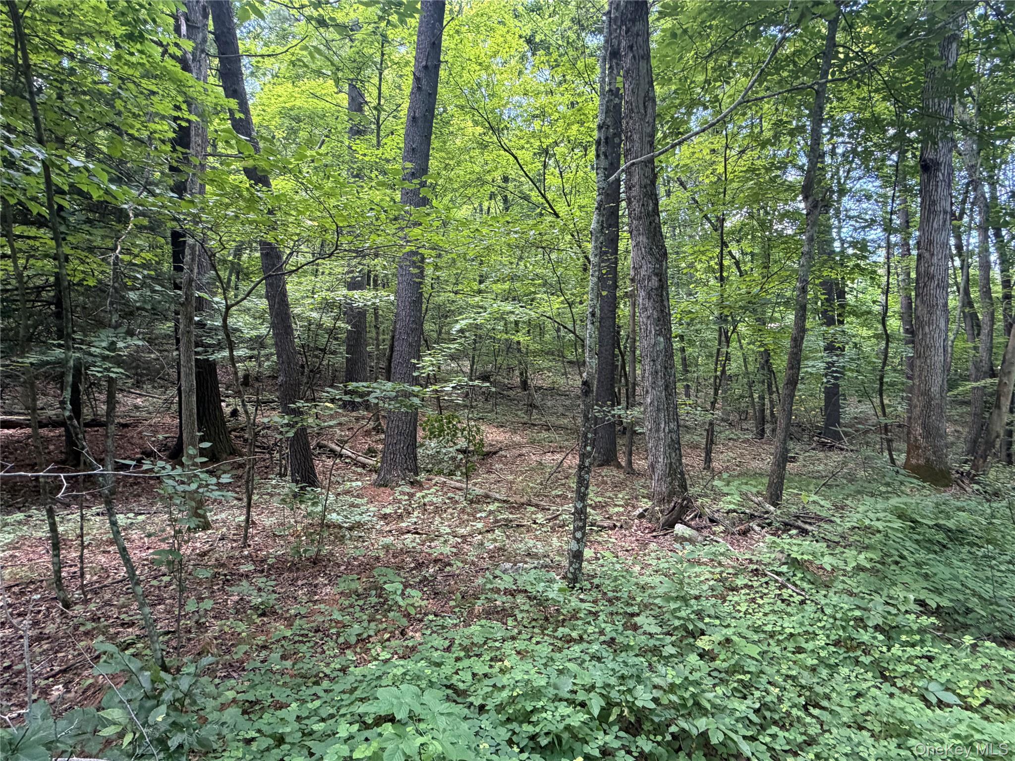 0 Laurie Lane – For Sale photo 3
