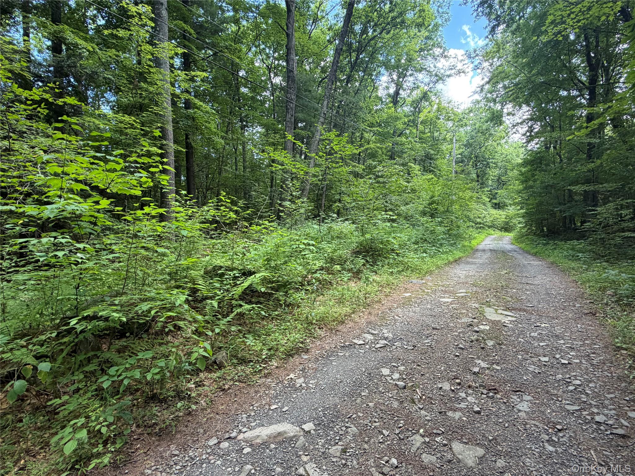 0 Laurie Lane – For Sale photo 4