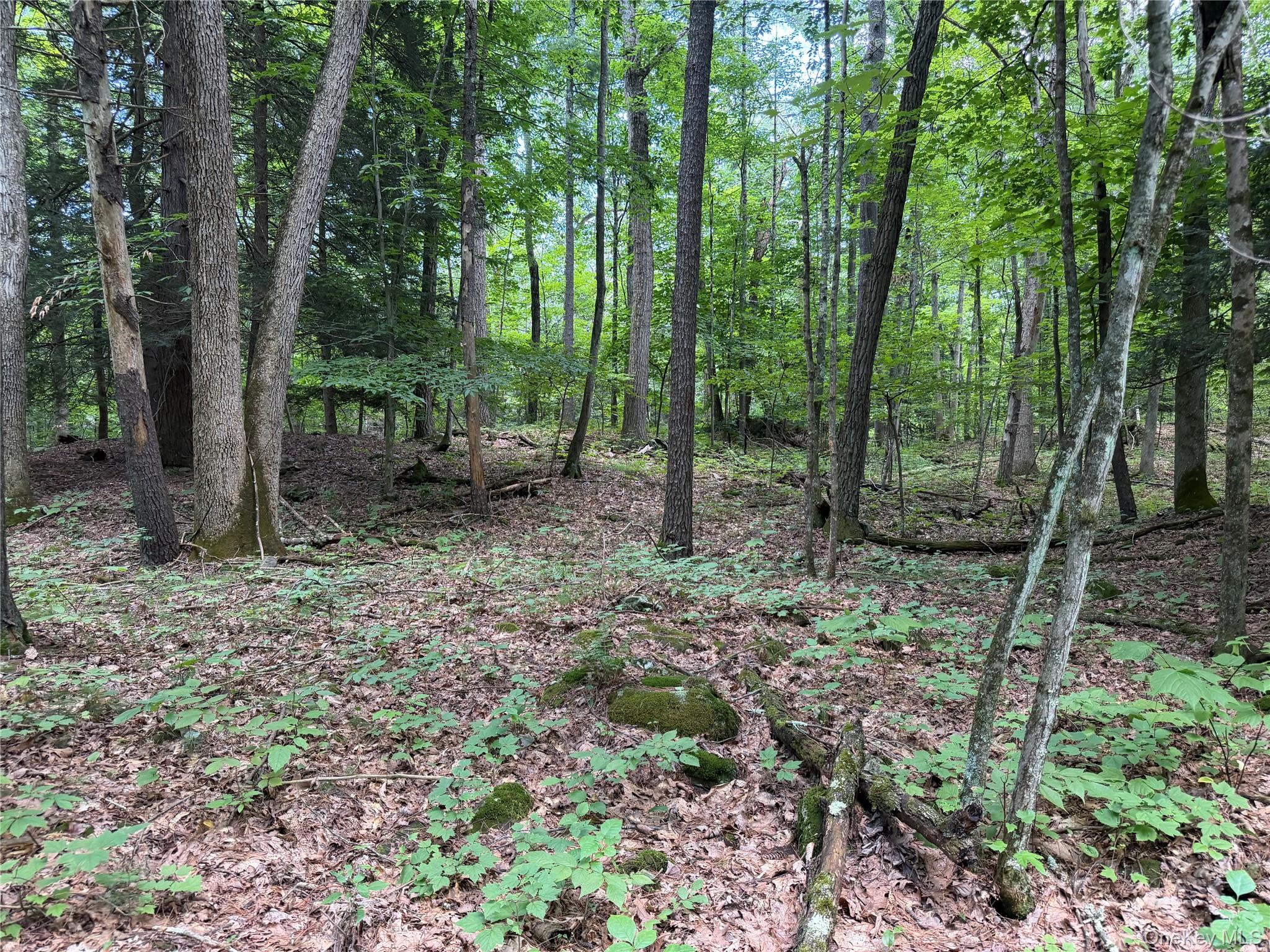 0 Laurie Lane – For Sale photo 5