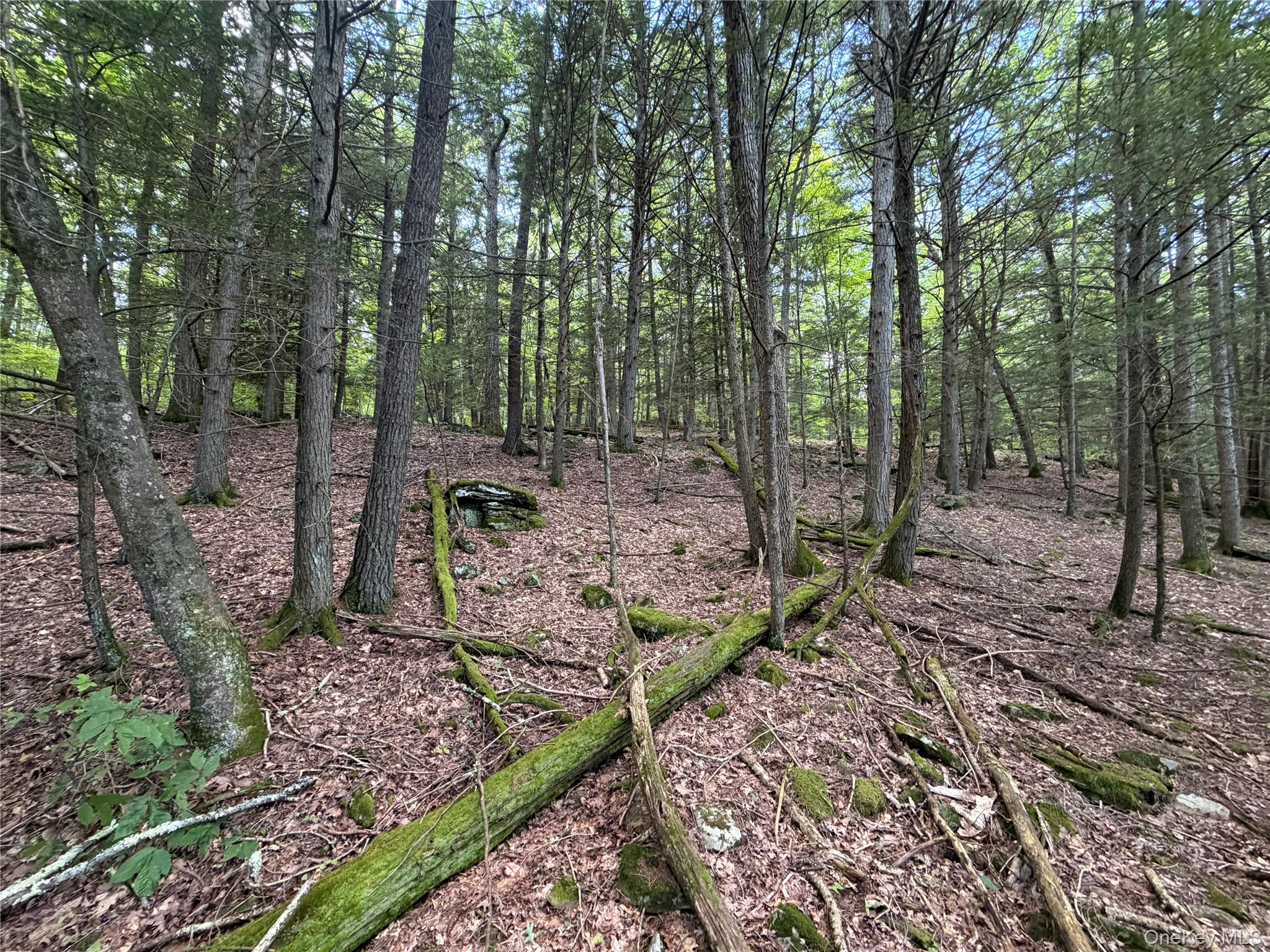 0 Laurie Lane – For Sale photo 8