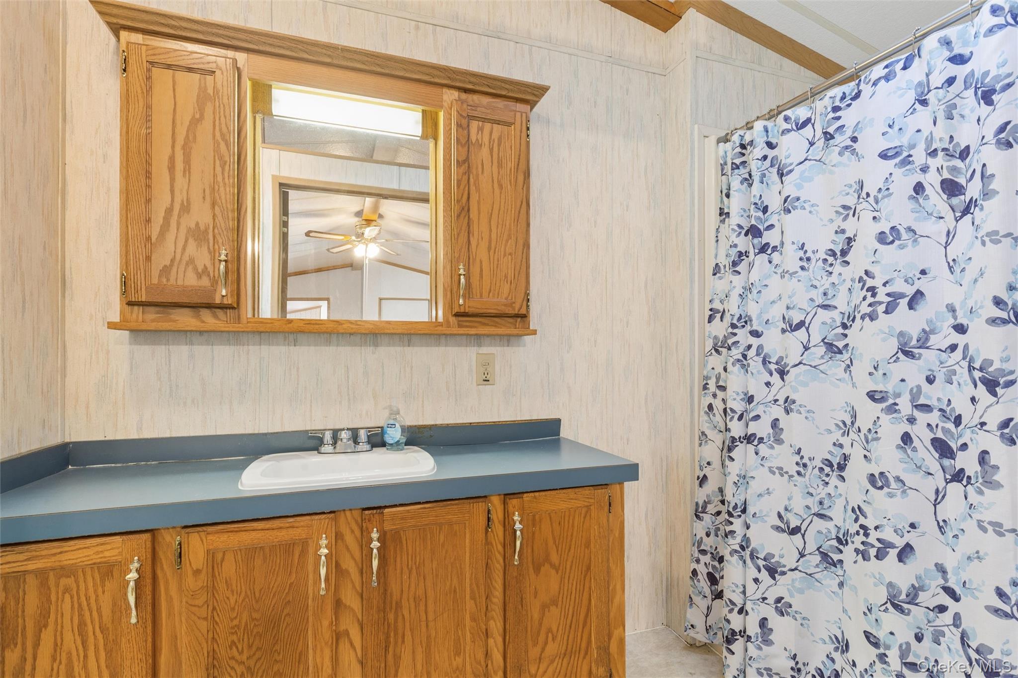 1661 Old Country Road, Unit 254 photo 7