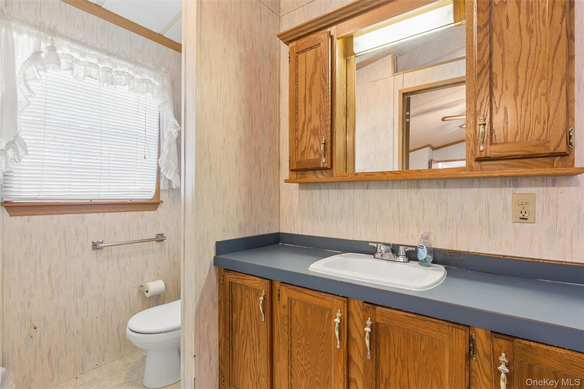 1661 Old Country Road, Unit 254 photo 8