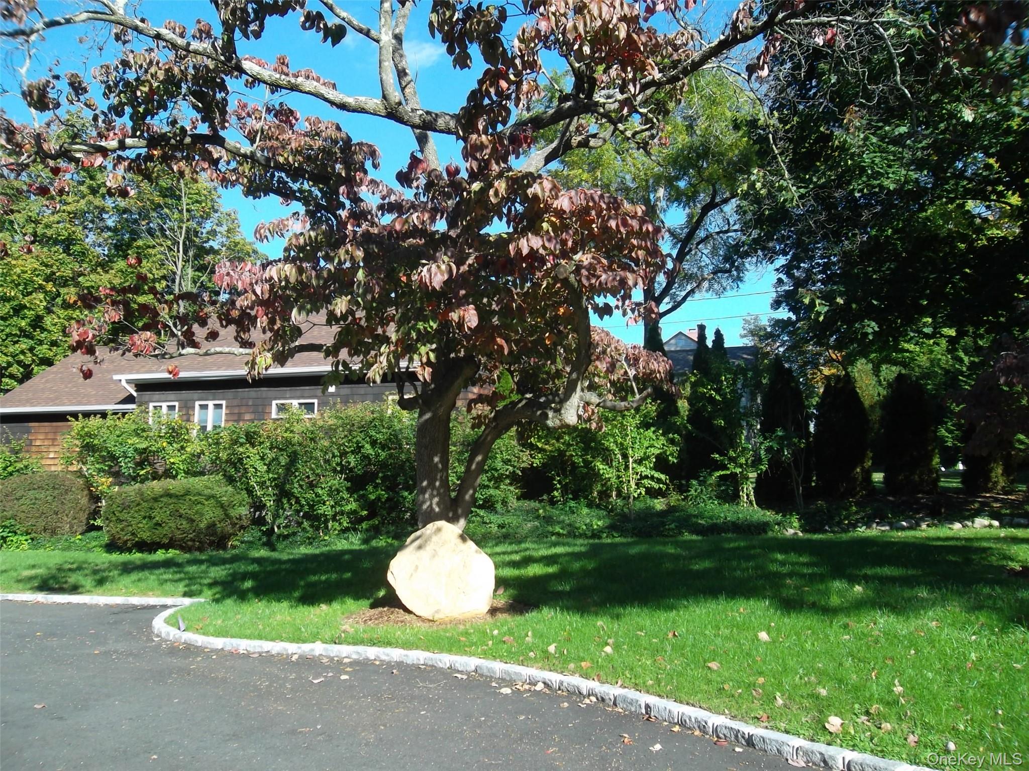 95 High Street, Unit 3 photo 4