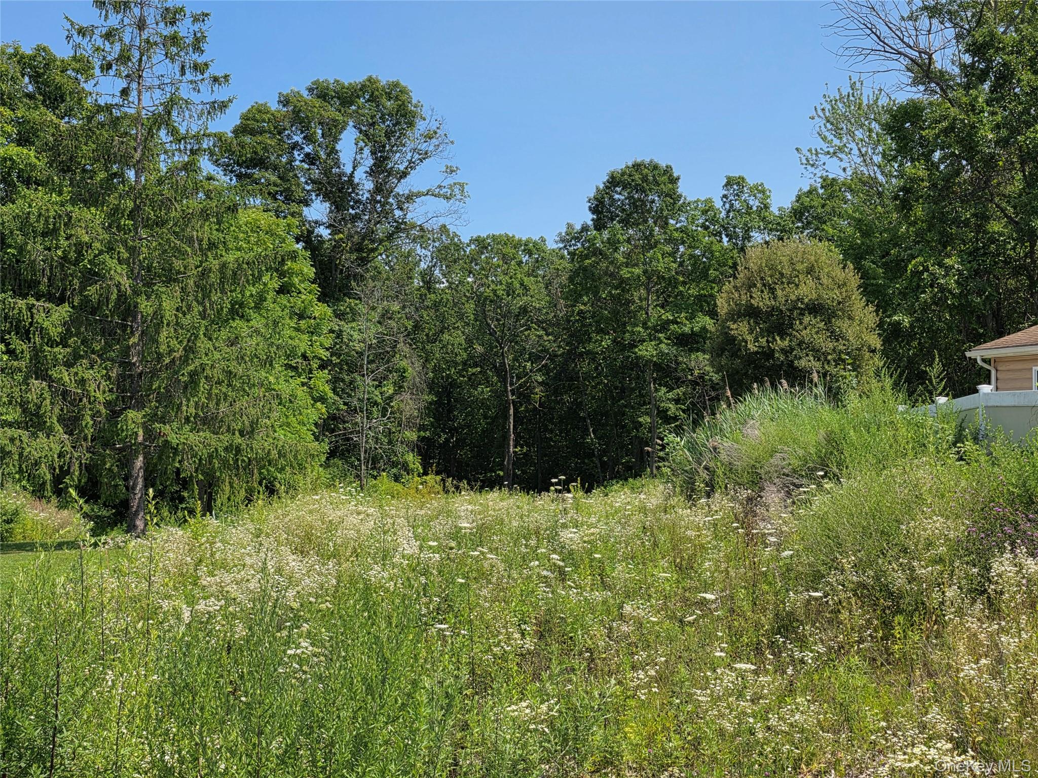 378 Lot 2 Lakeside Road – For Sale photo 4