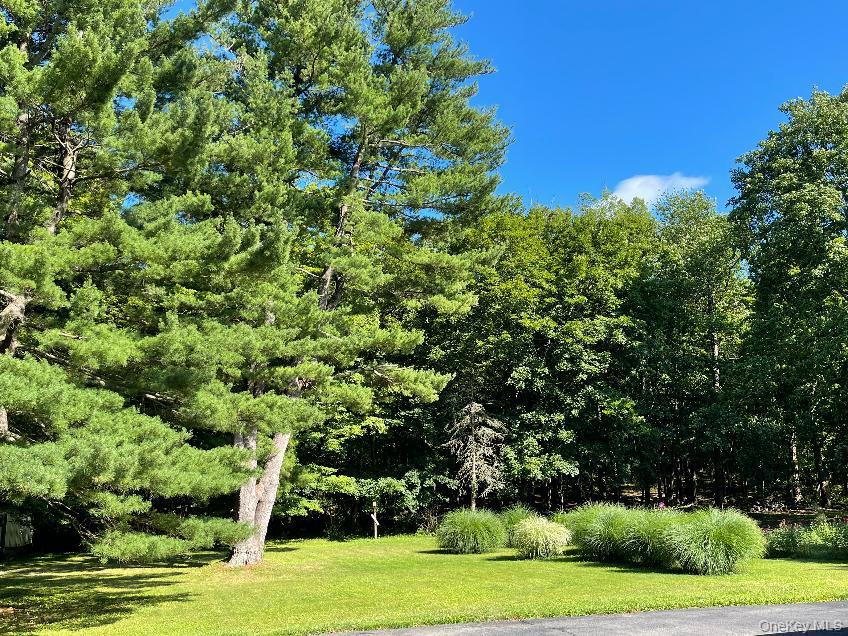 2195 Route 302 – For Sale photo 18