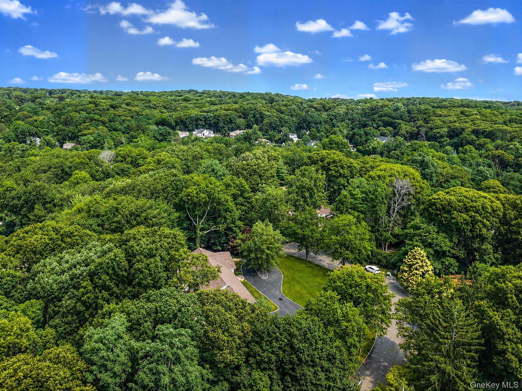 10 Williamsburg Drive – For Sale photo 44