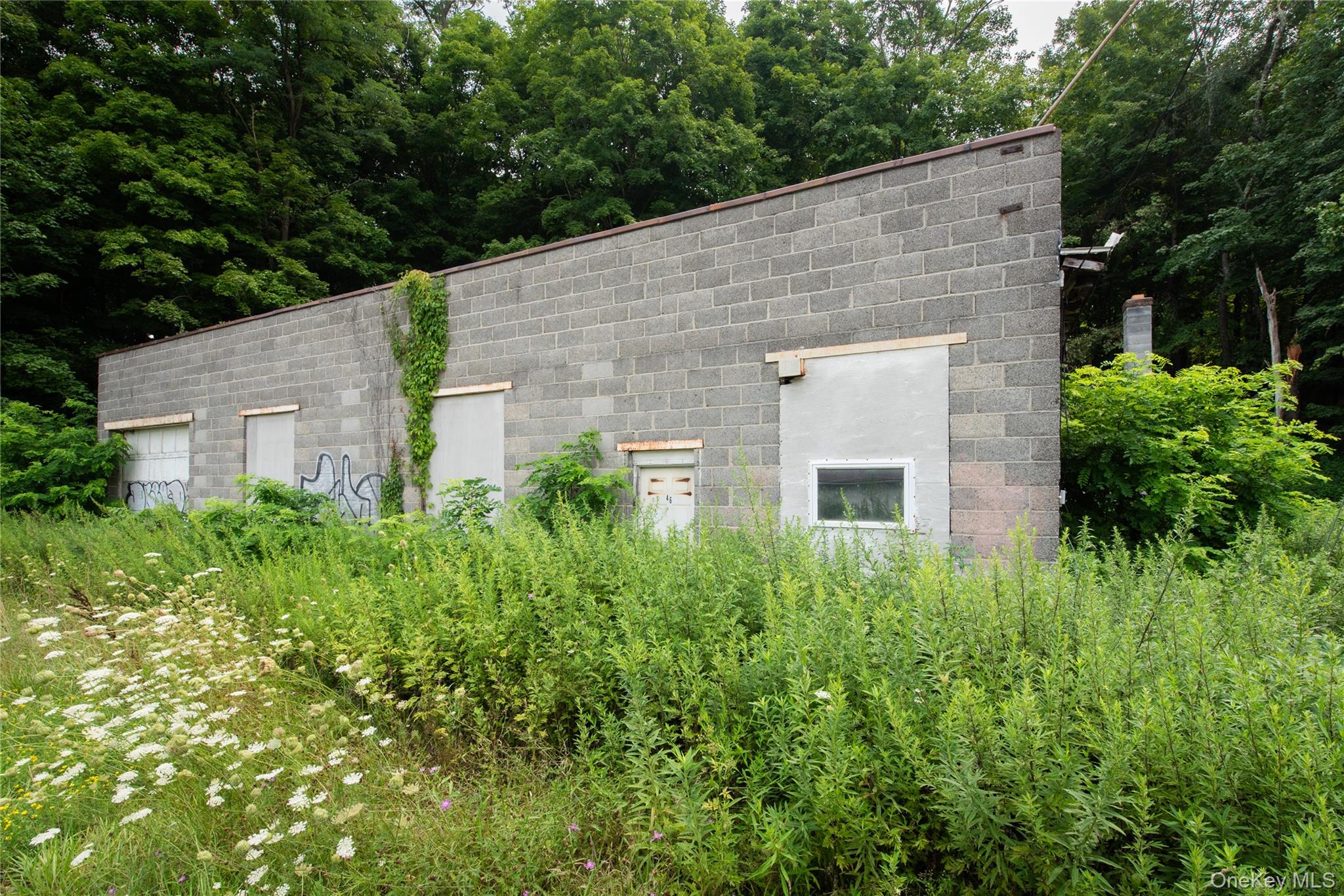 46 South Avenue – For Sale photo 3