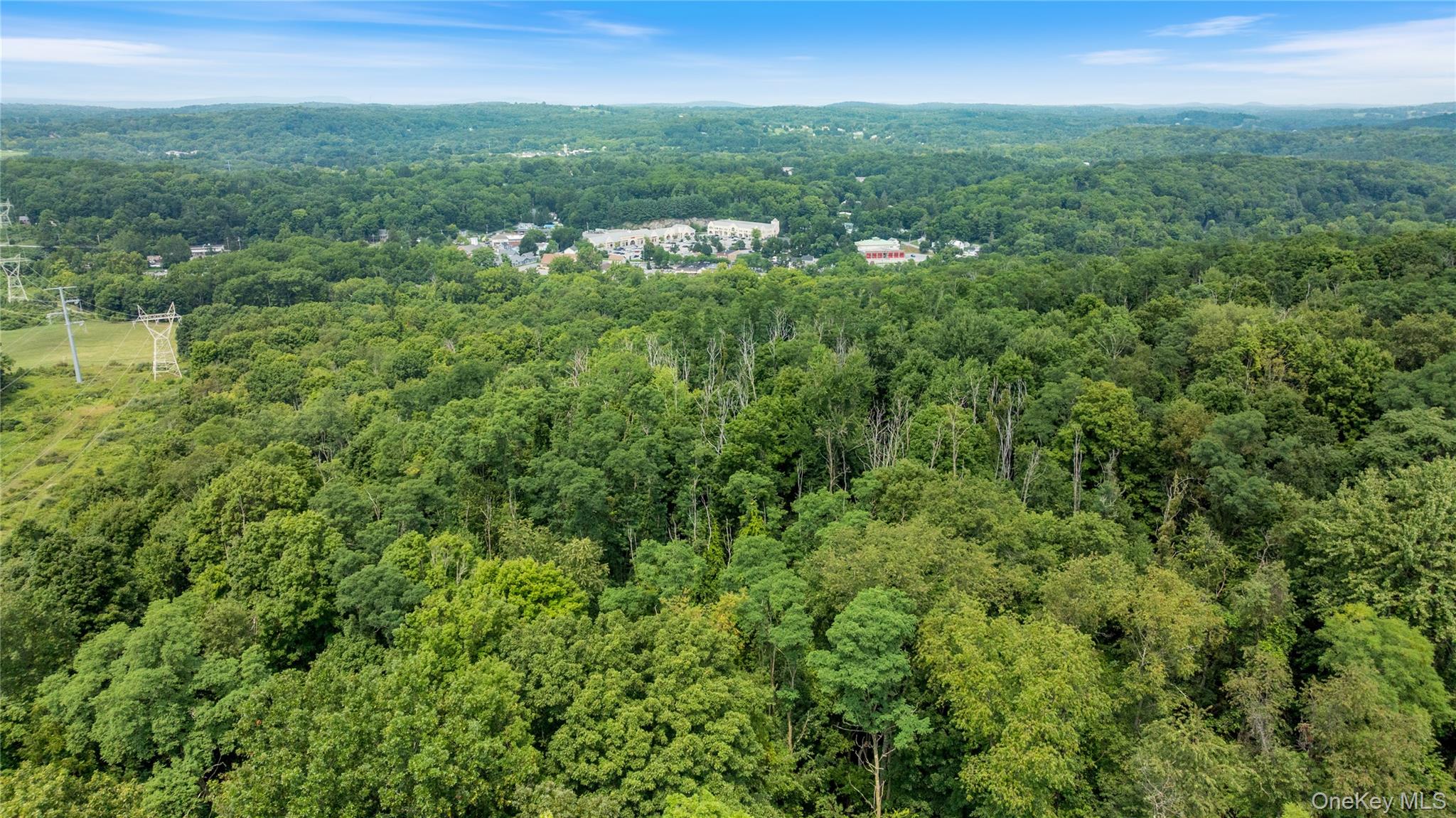 46 South Avenue – For Sale photo 14