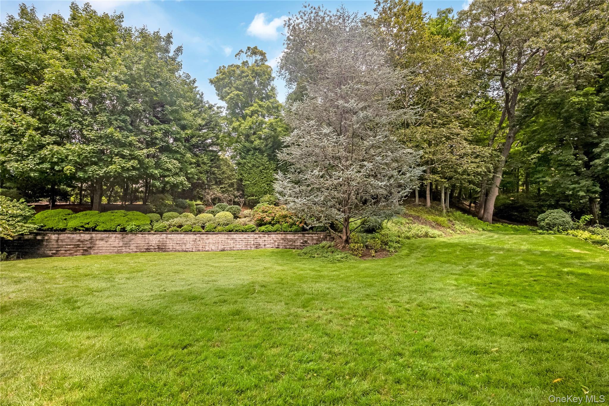 230 Woodbine Avenue – For Sale photo 42