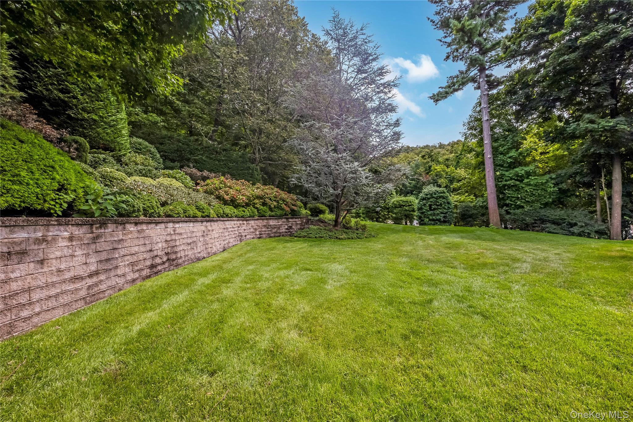 230 Woodbine Avenue – For Sale photo 43