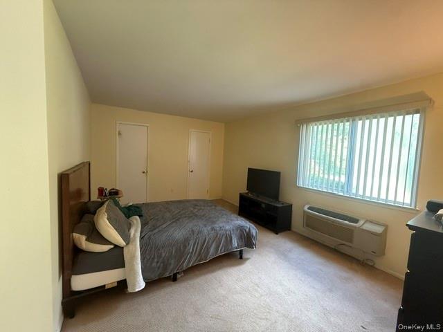 21 Village Park Drive, Unit 1B photo 13
