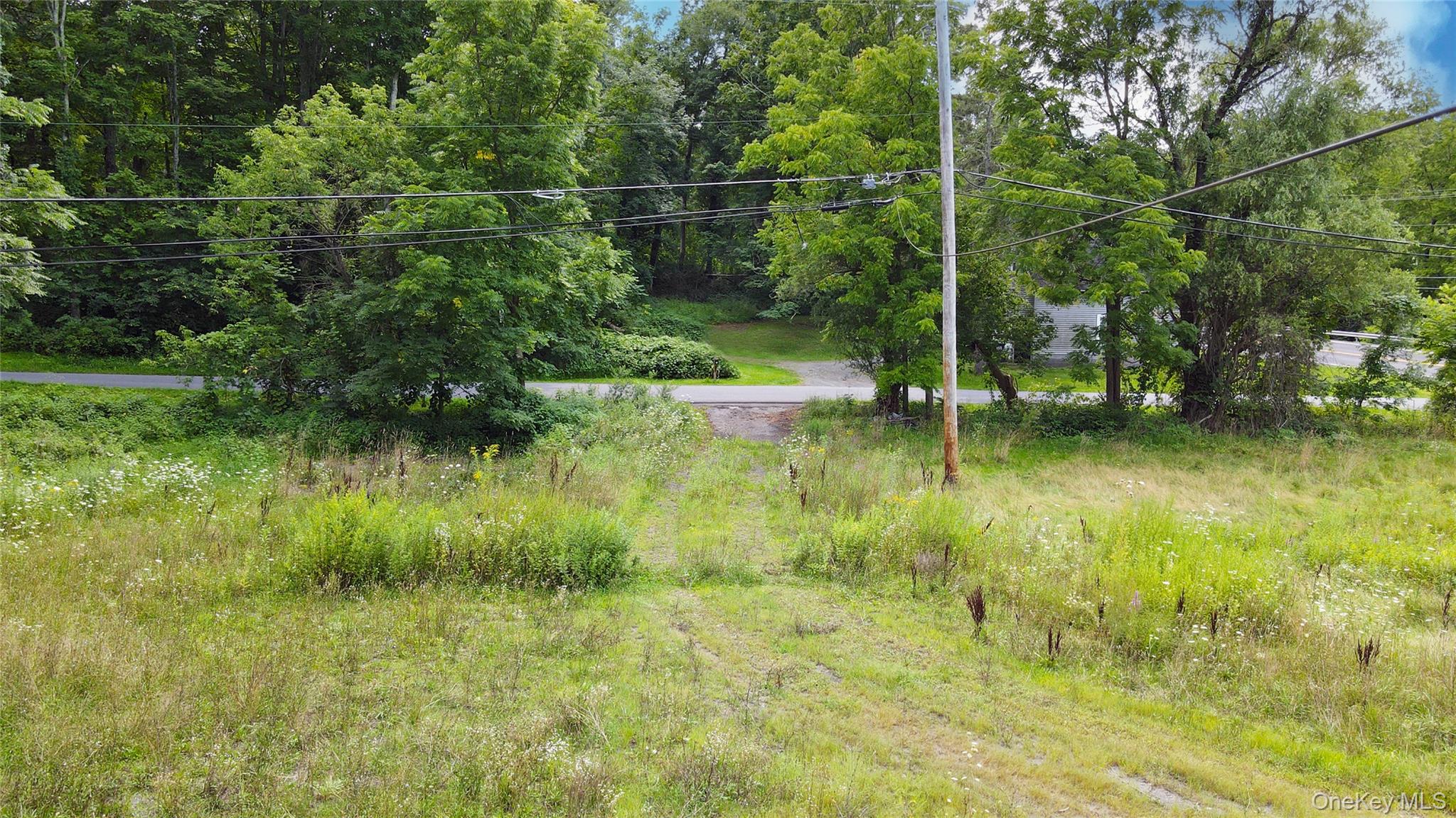 2971 State Route 209 – For Sale photo 4
