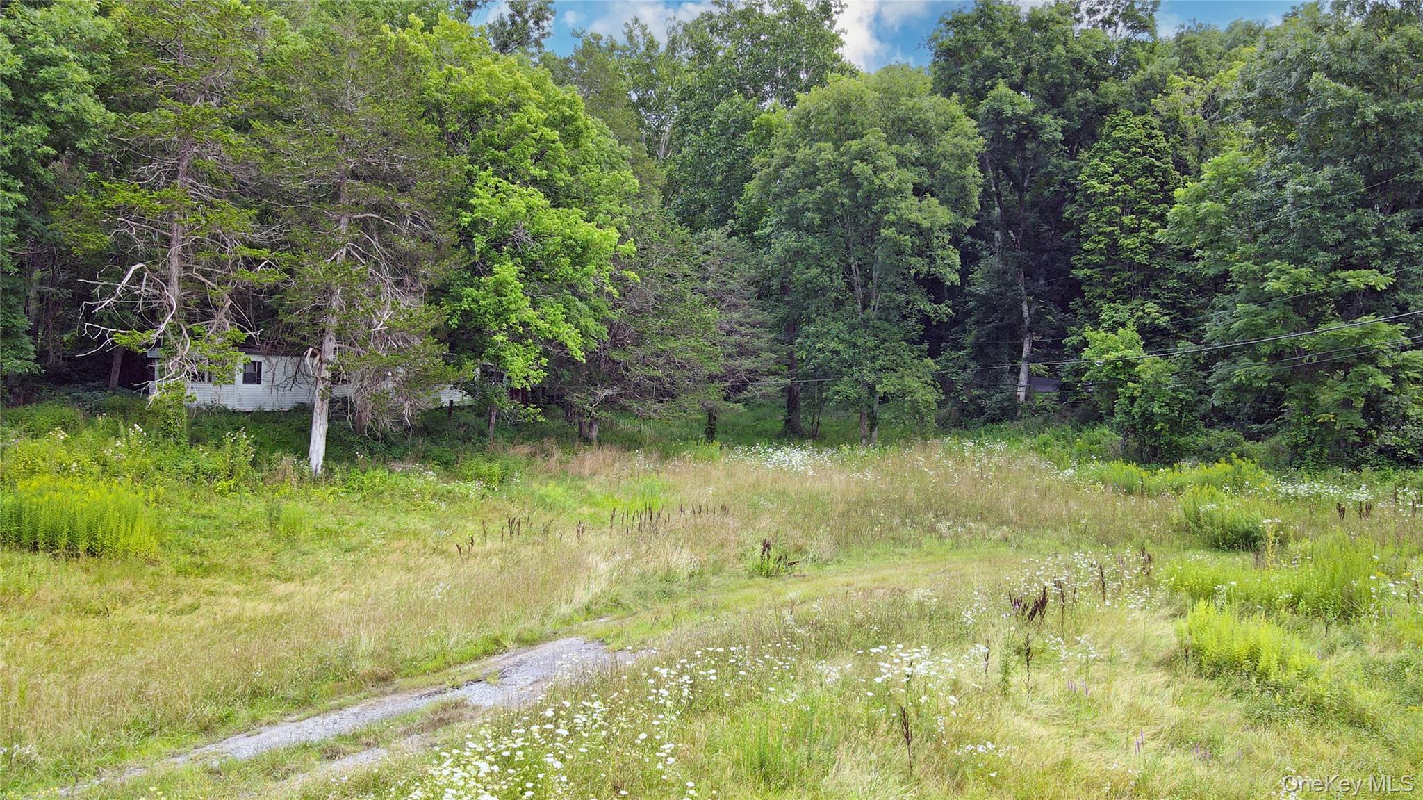 2971 State Route 209 – For Sale photo 5