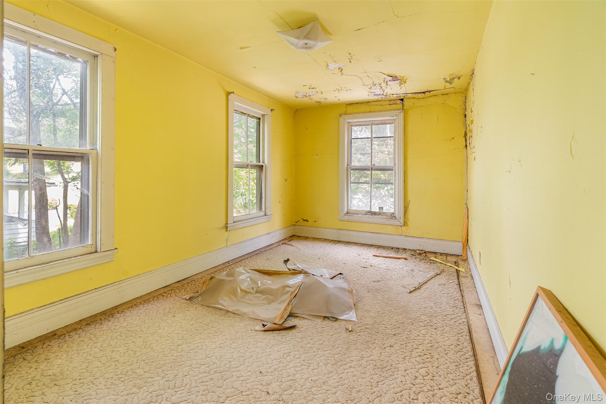 50 Maple Street – For Sale photo 19