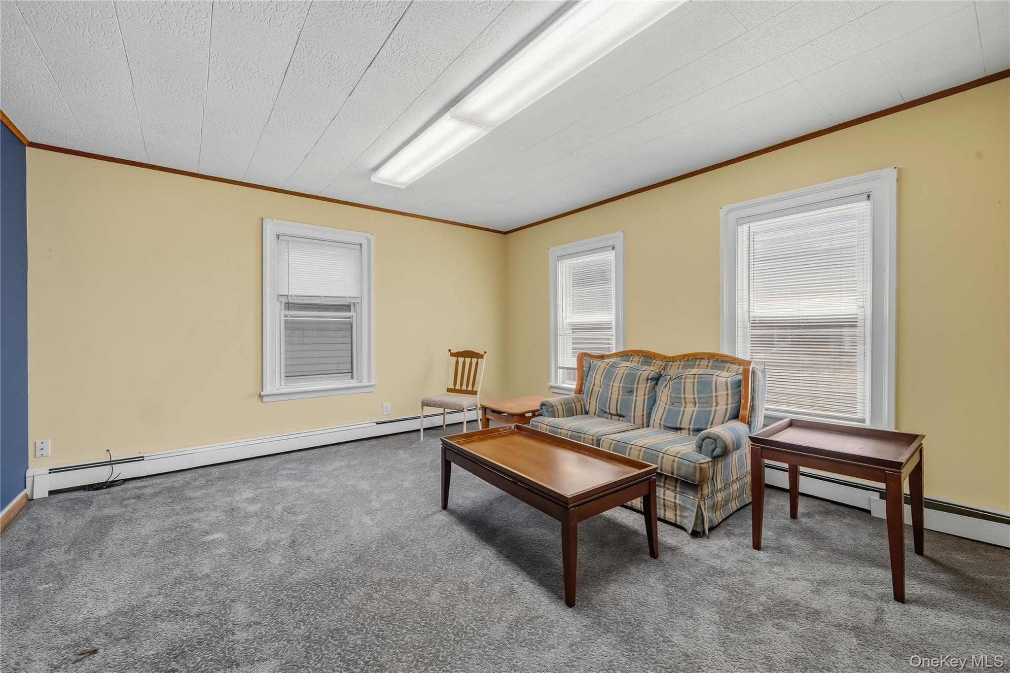 131 Wickham Avenue – For Rent photo 28