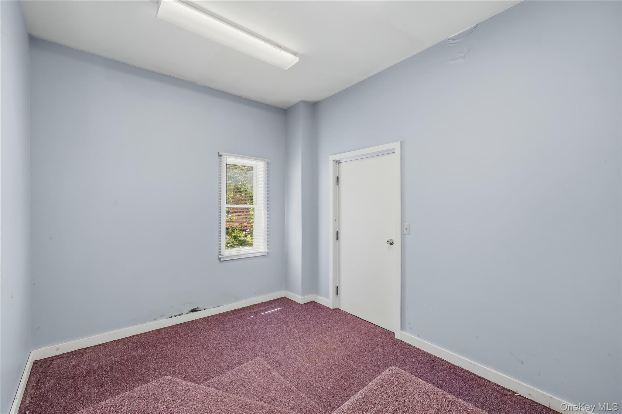 131 Wickham Avenue – For Rent photo 26