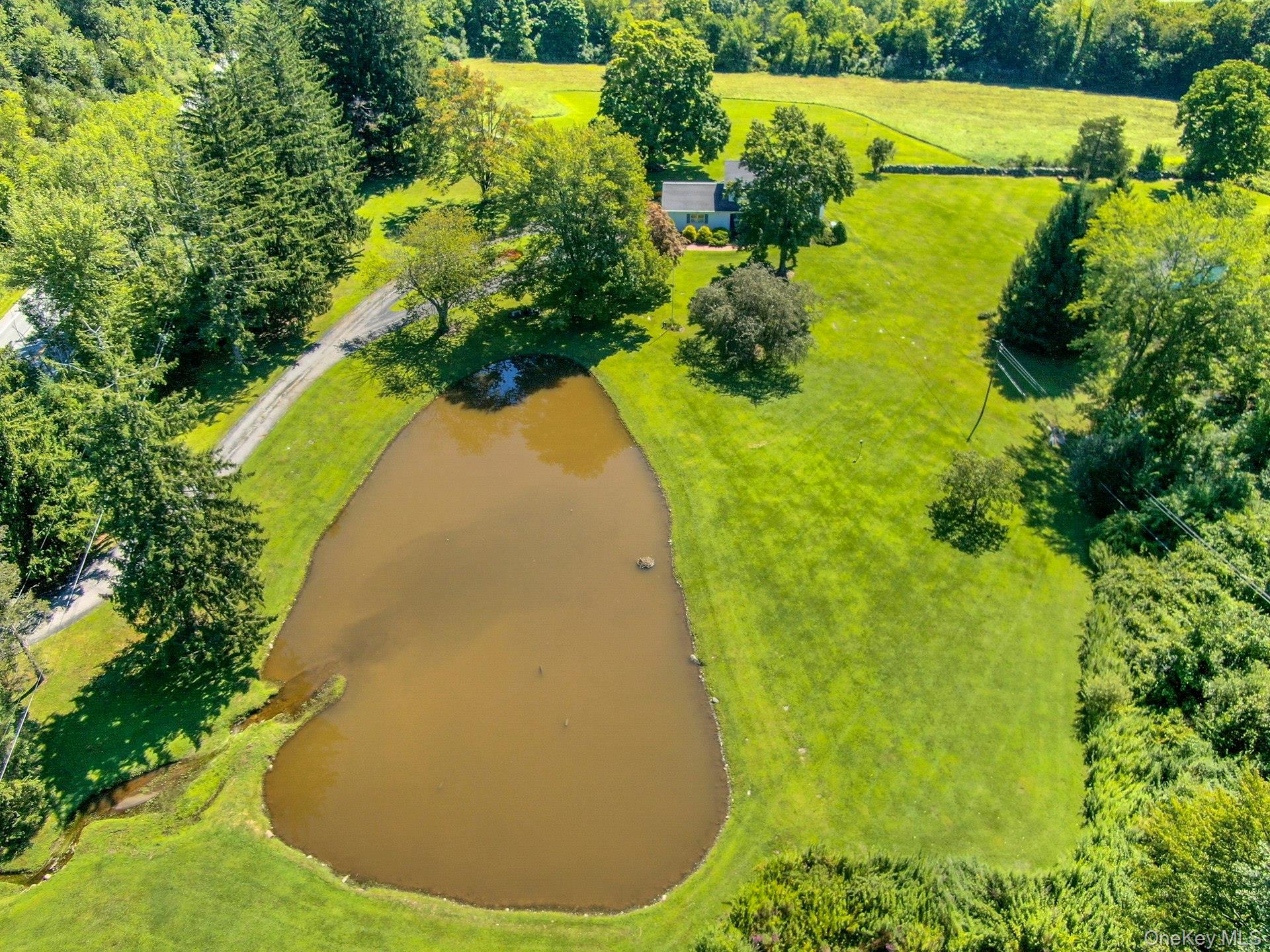 3846 Route 55 – For Sale photo 45