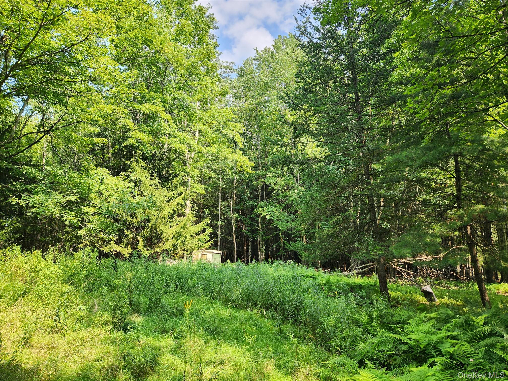 Soule Road – For Sale photo 10
