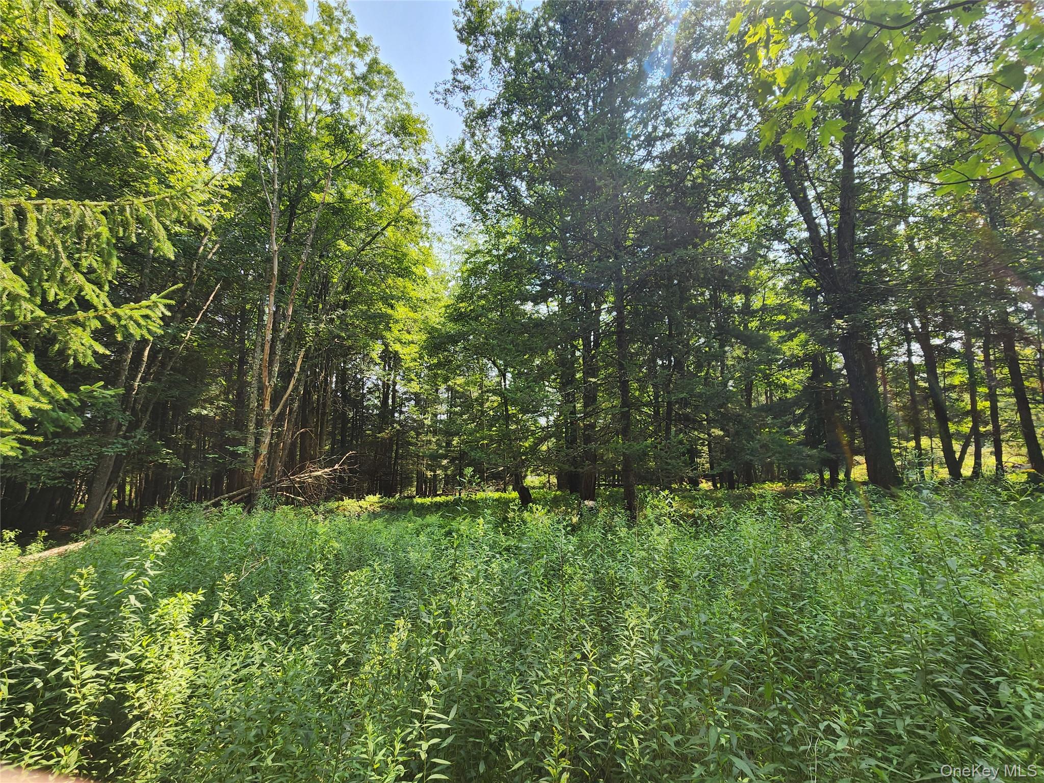 Soule Road – For Sale photo 13