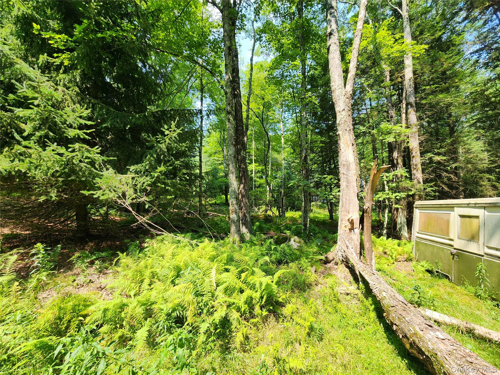 Soule Road – For Sale photo 7