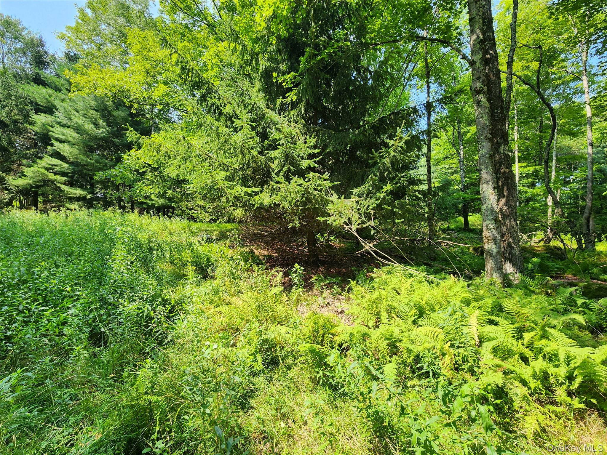 Soule Road – For Sale photo 14