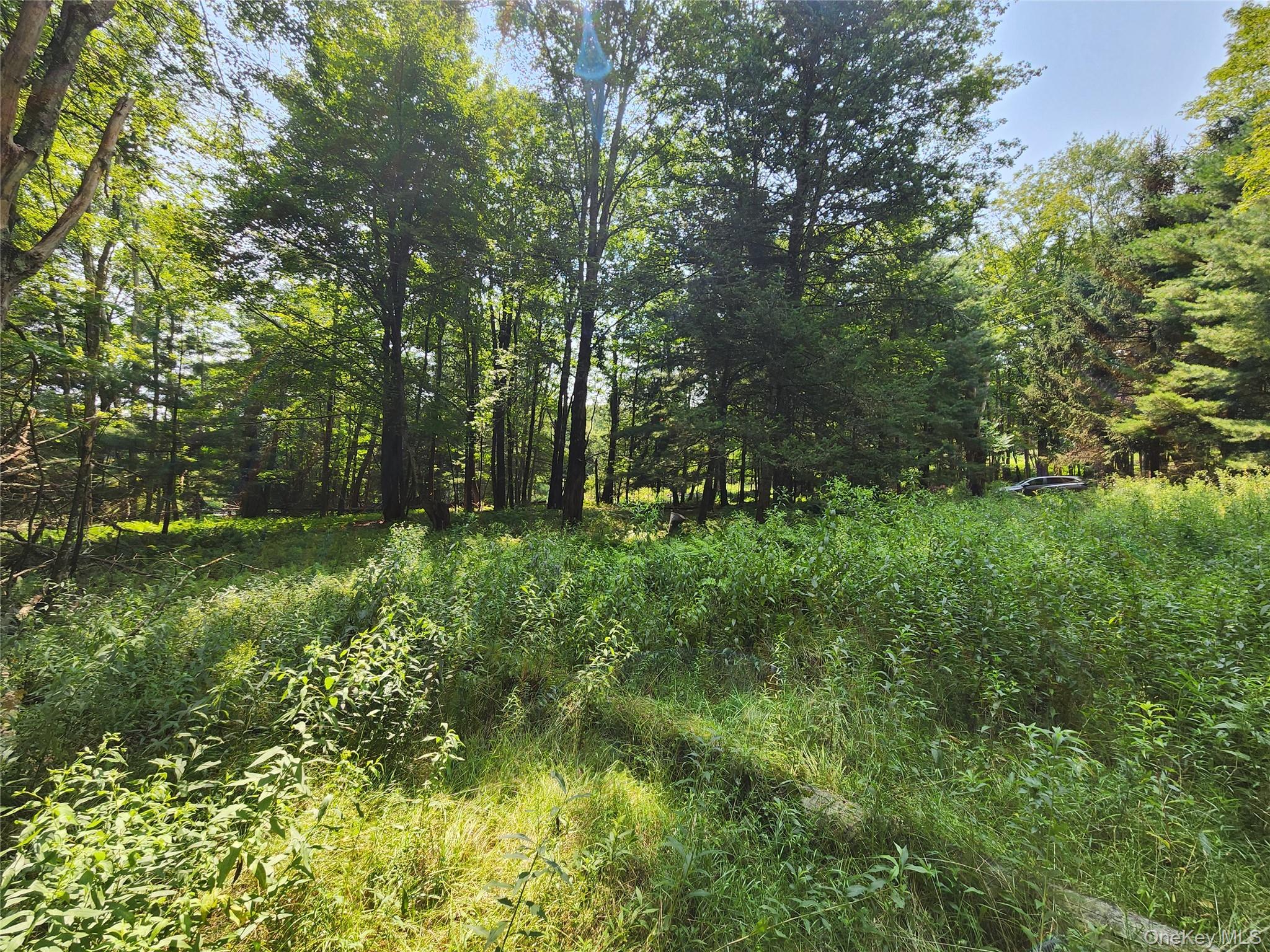 Soule Road – For Sale photo 16