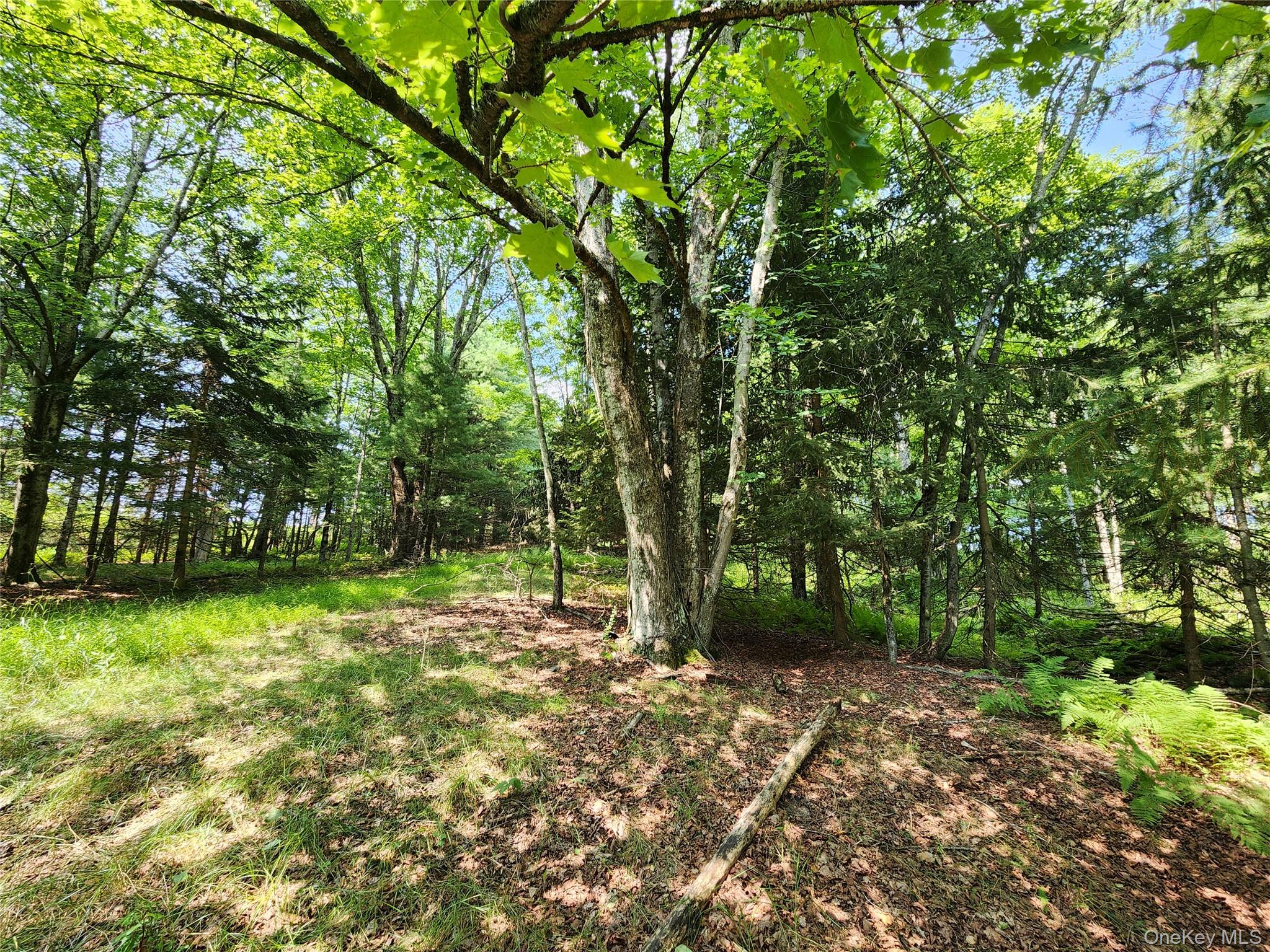 Soule Road – For Sale photo 15