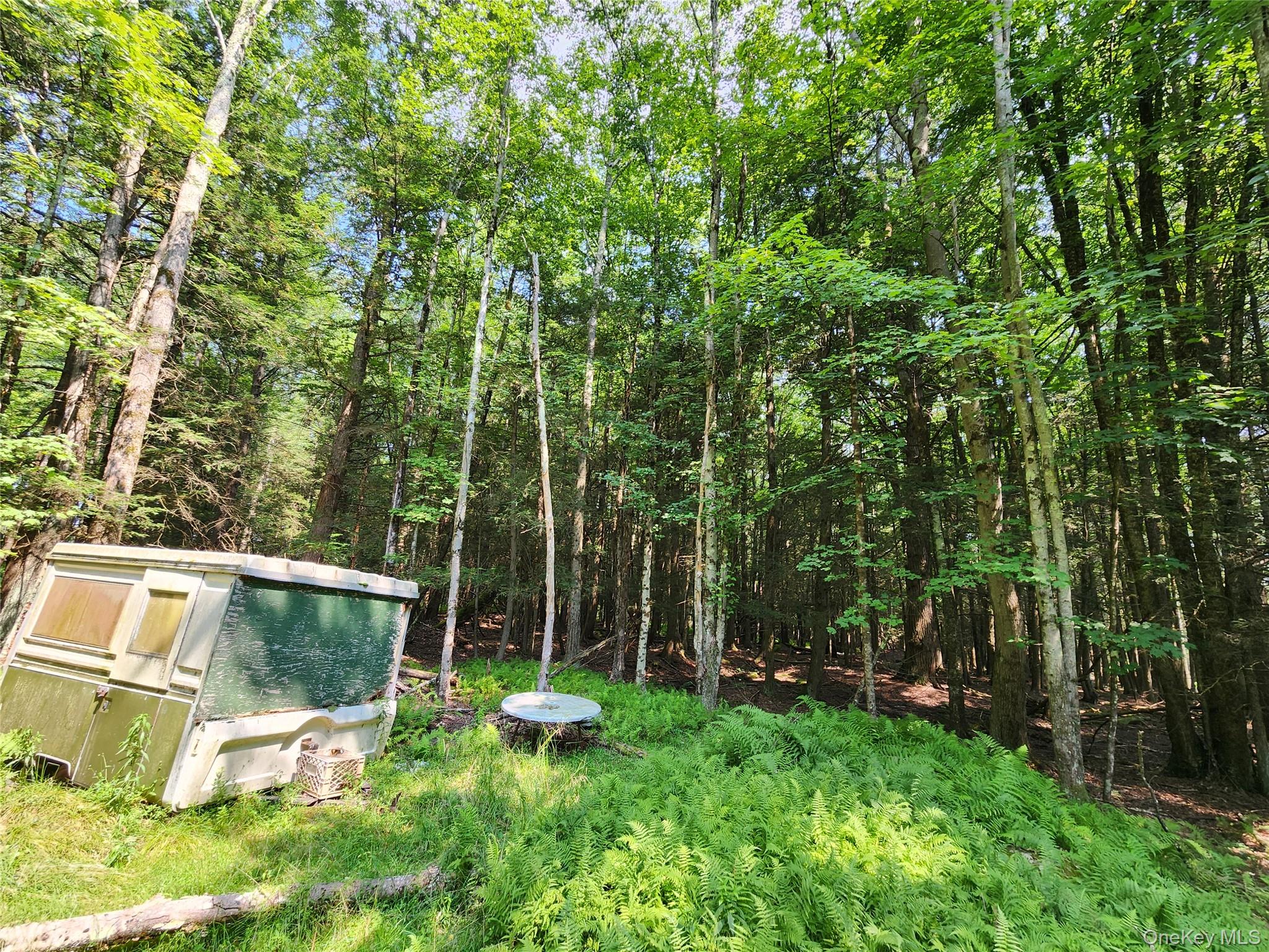 Soule Road – For Sale photo 8