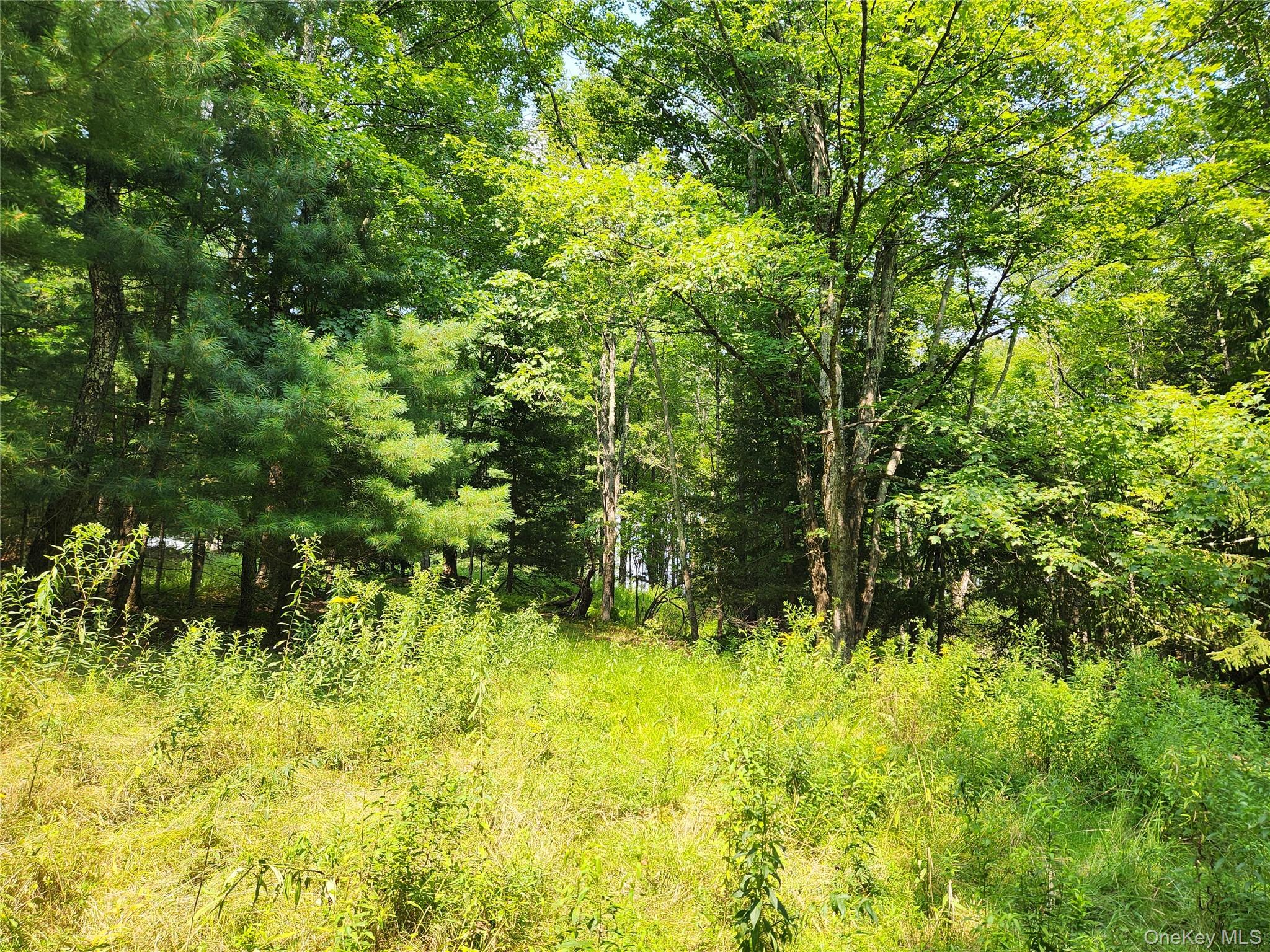 Soule Road – For Sale photo 11