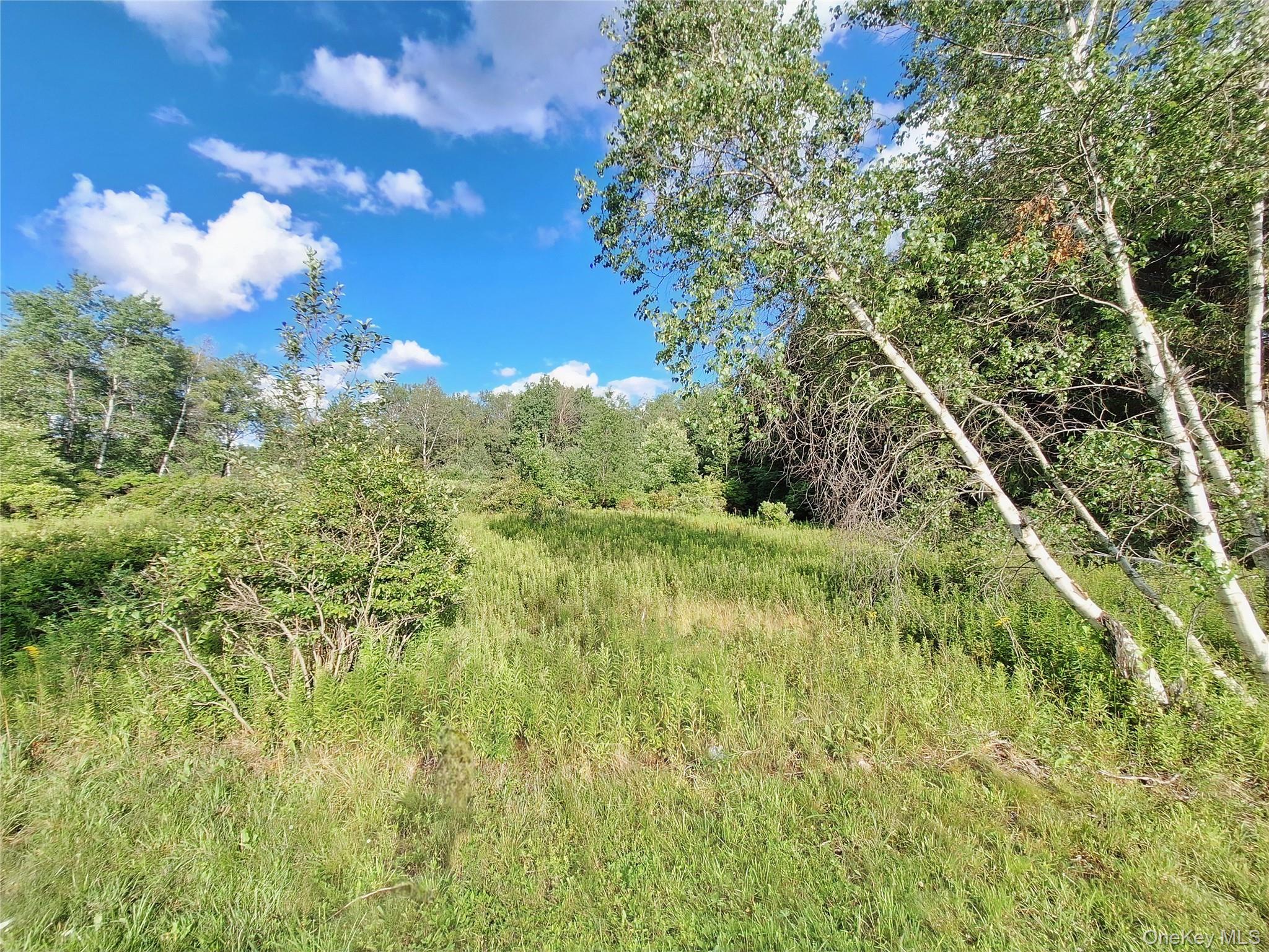 Burnt Ridge Road – For Sale photo 24
