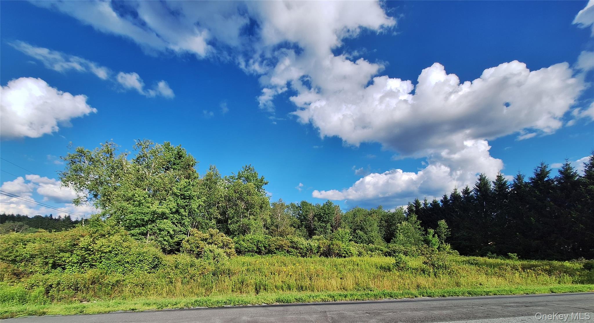 Burnt Ridge Road – For Sale photo 18