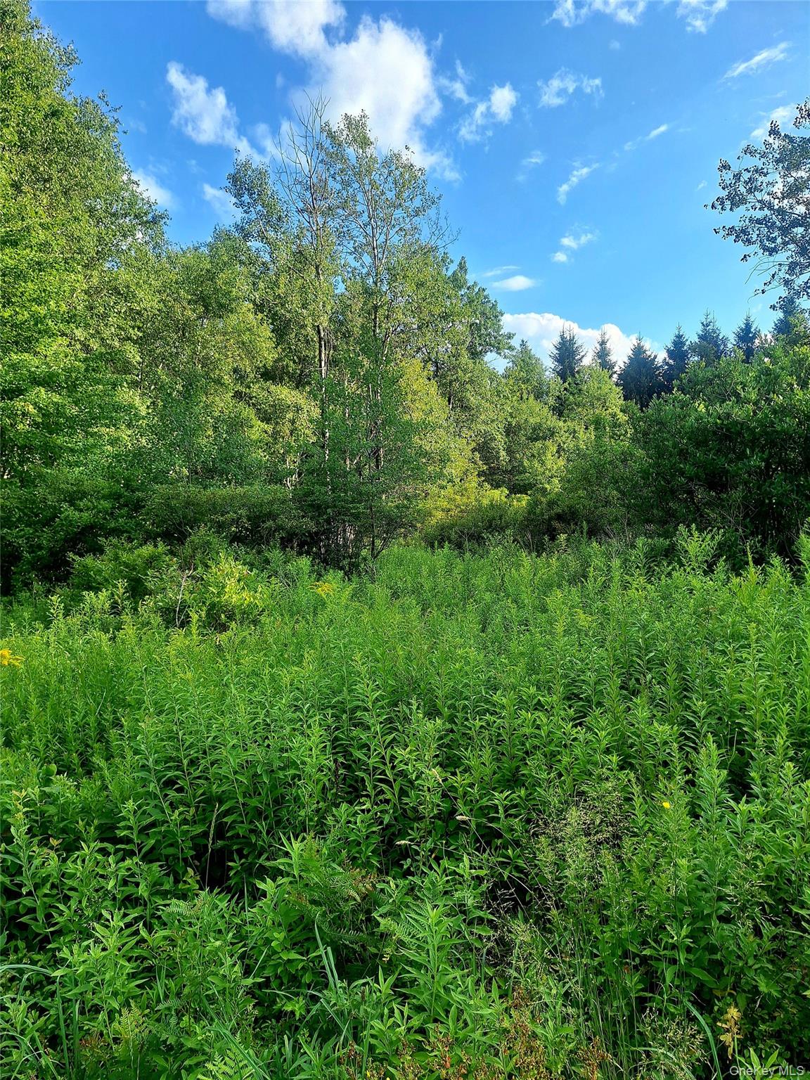 Burnt Ridge Road – For Sale photo 36