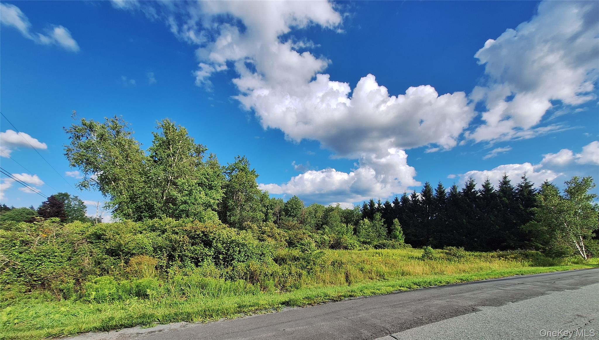 Burnt Ridge Road – For Sale photo 17